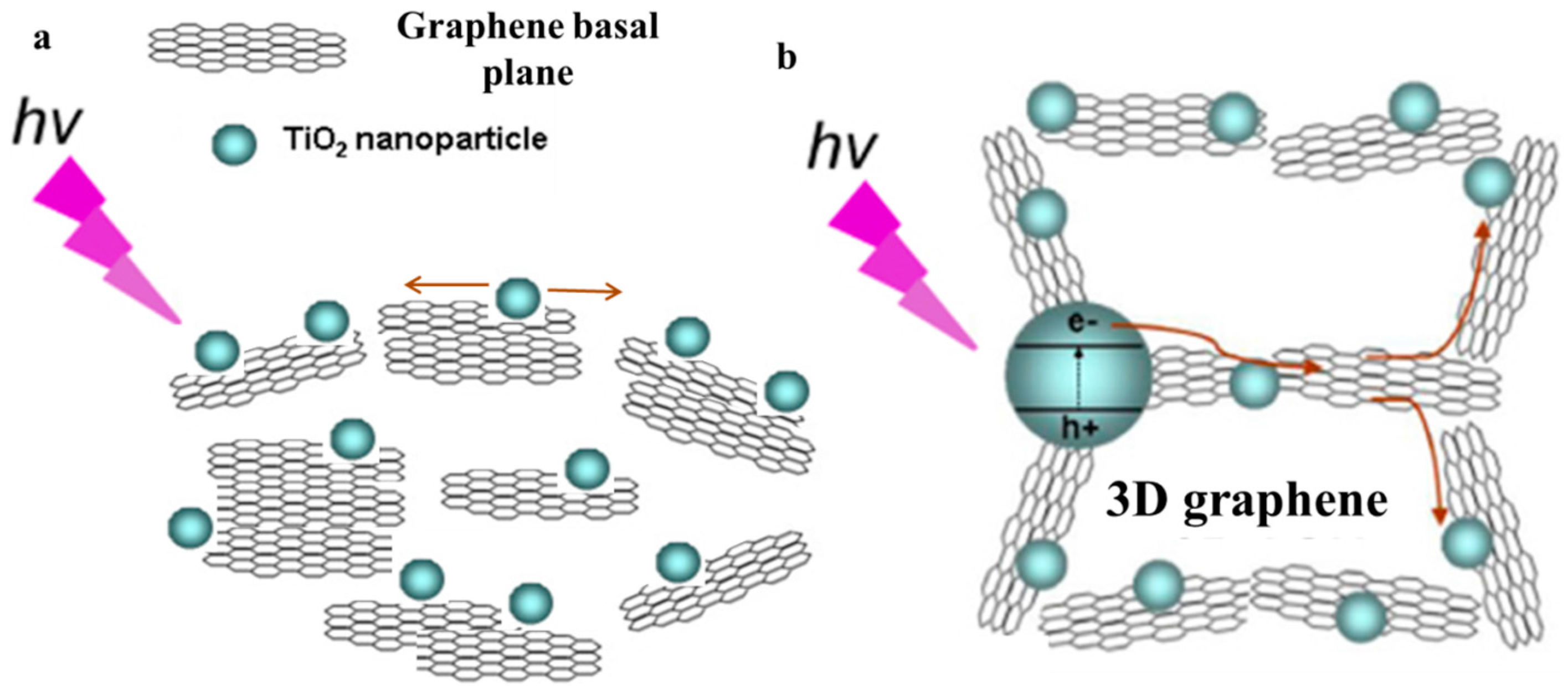 Nanomaterials 08 00105 g014