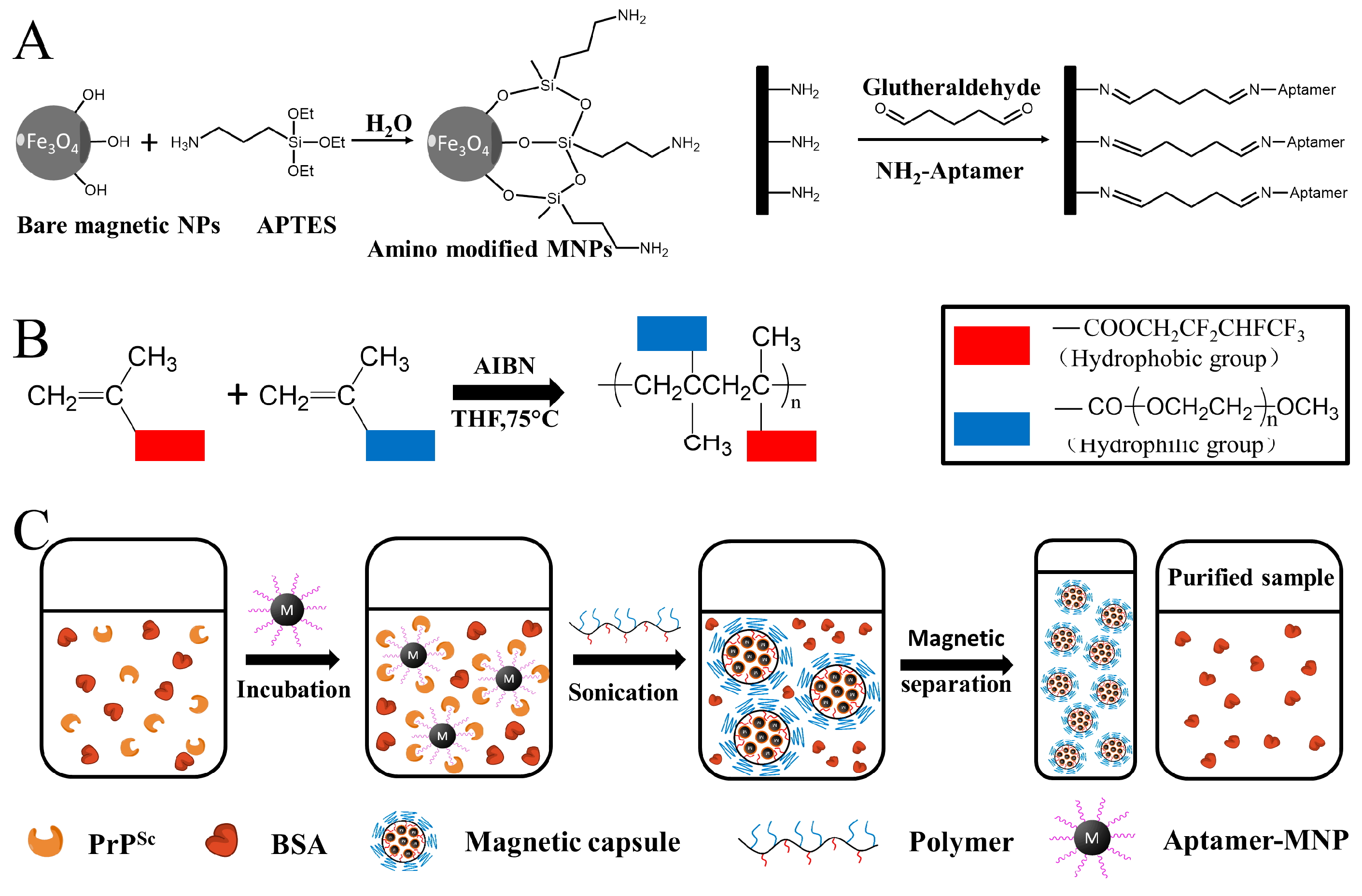 Nanomaterials 08 00107 g001