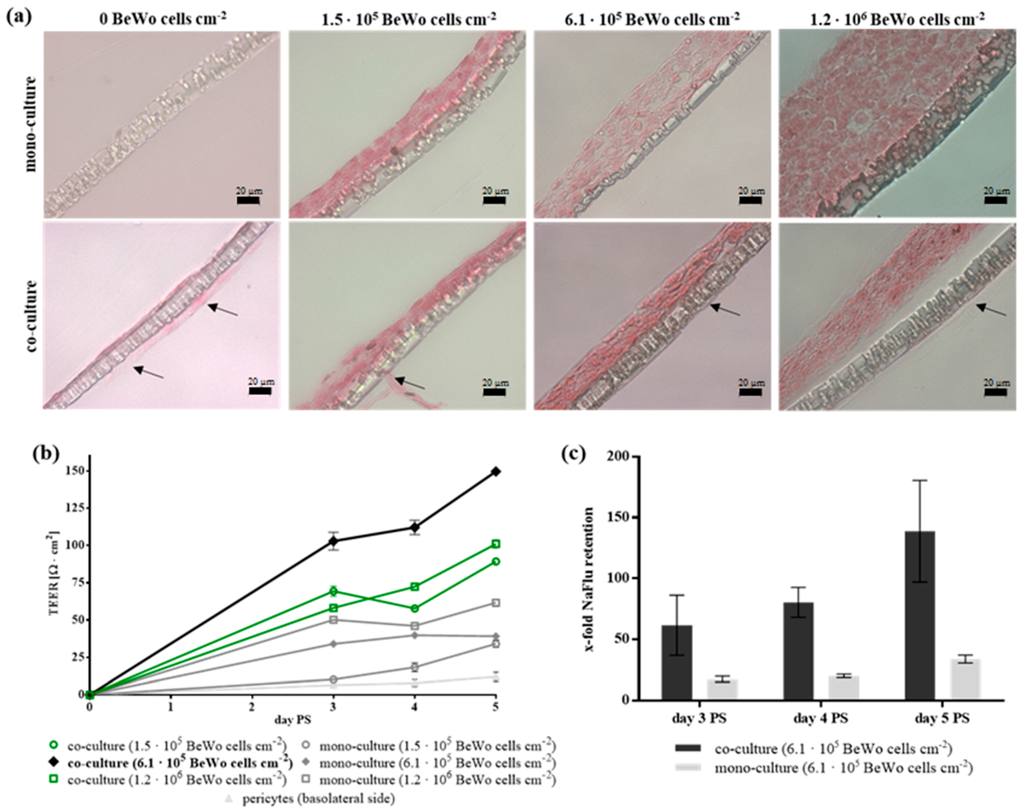 Nanomaterials 08 00108 g001