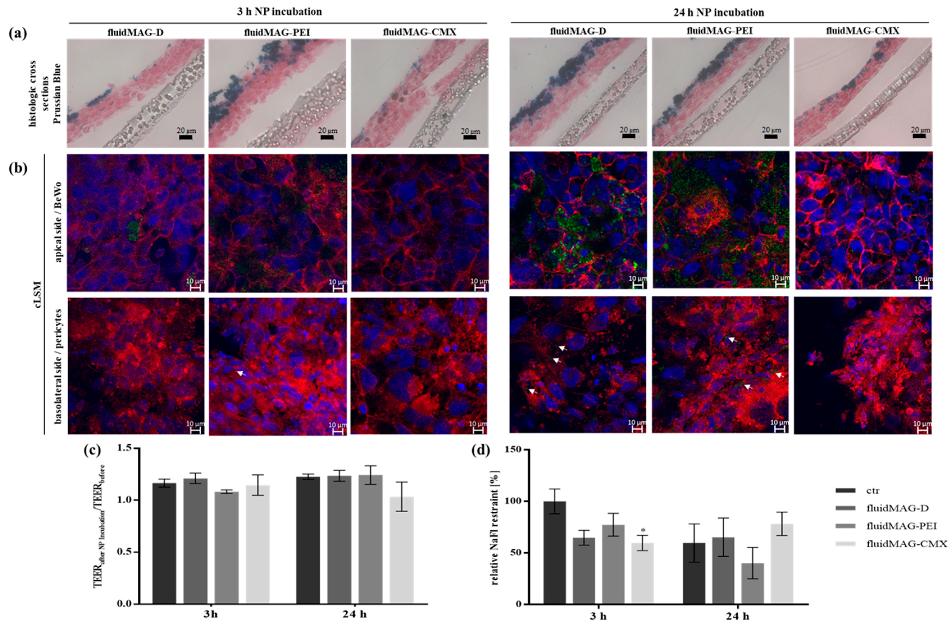 Nanomaterials 08 00108 g002