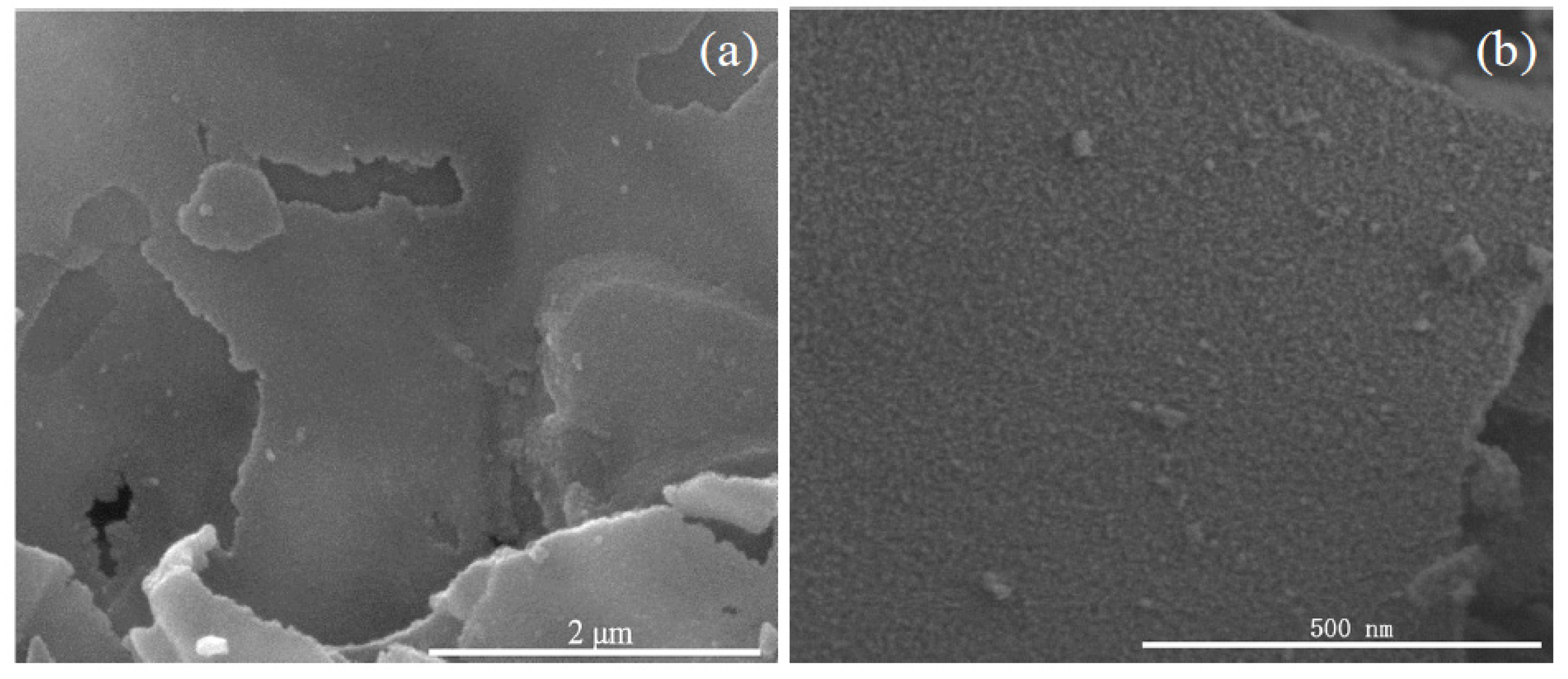 Nanomaterials 08 00112 g003a 550