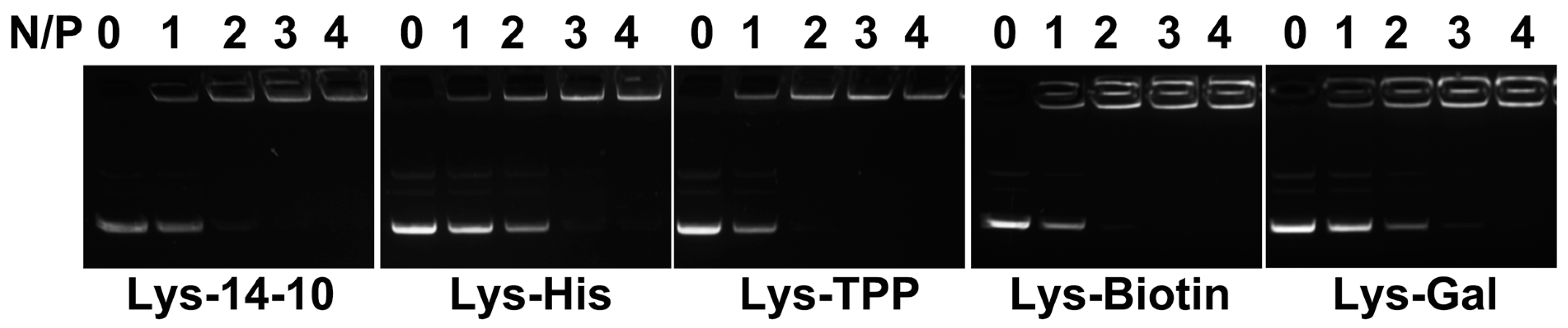 Nanomaterials 08 00115 g001