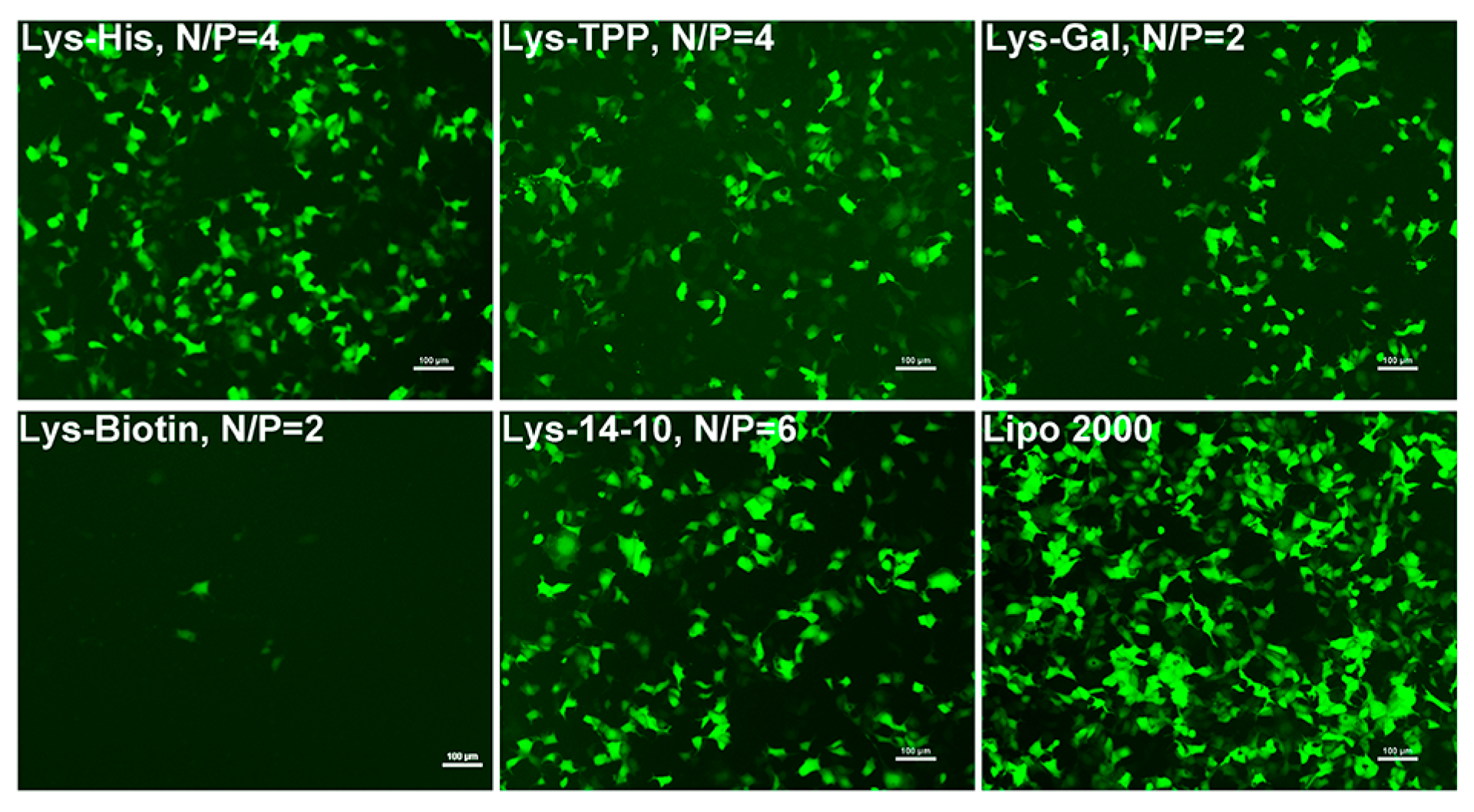 Nanomaterials 08 00115 g003
