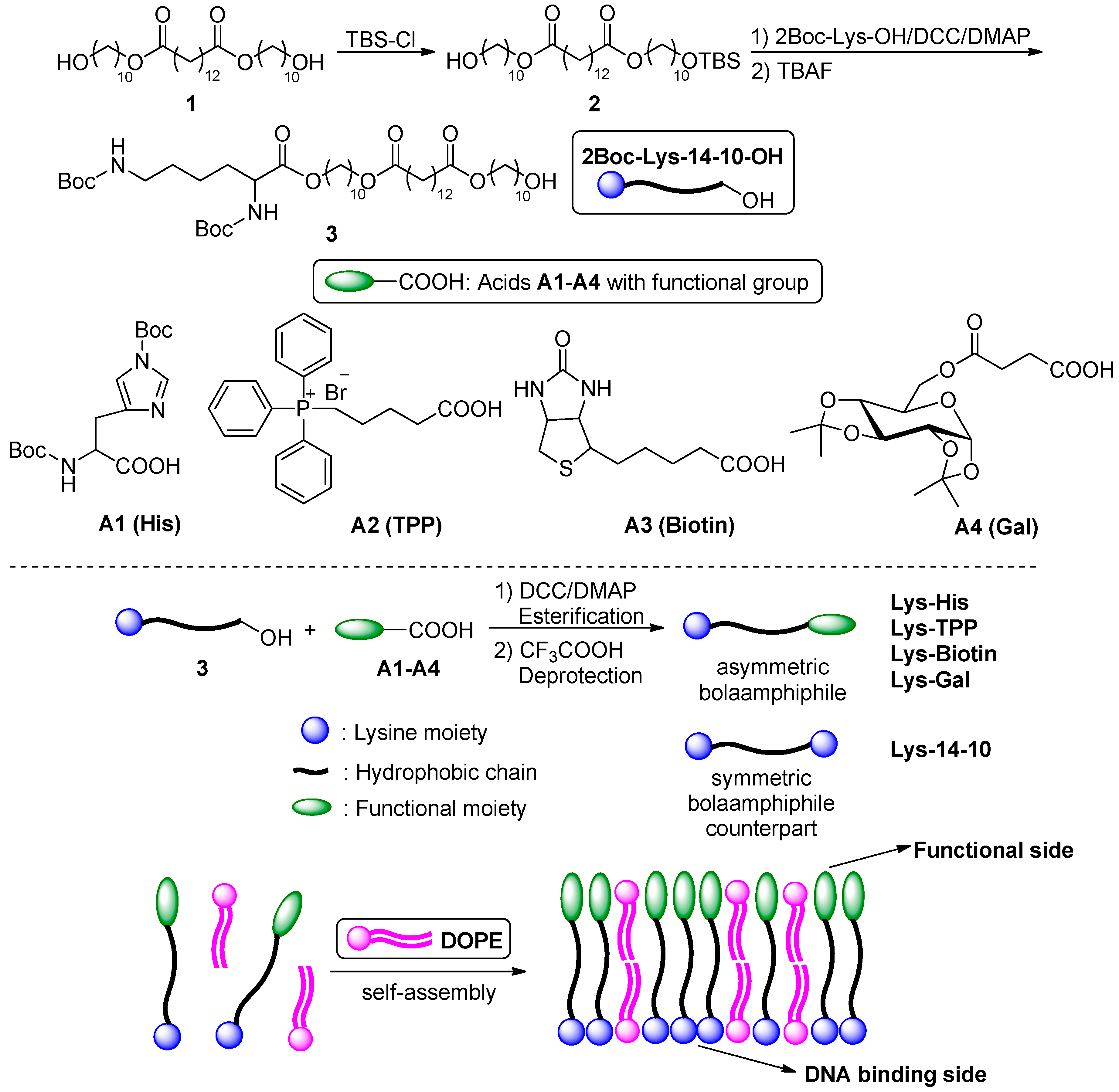 Nanomaterials 08 00115 sch001