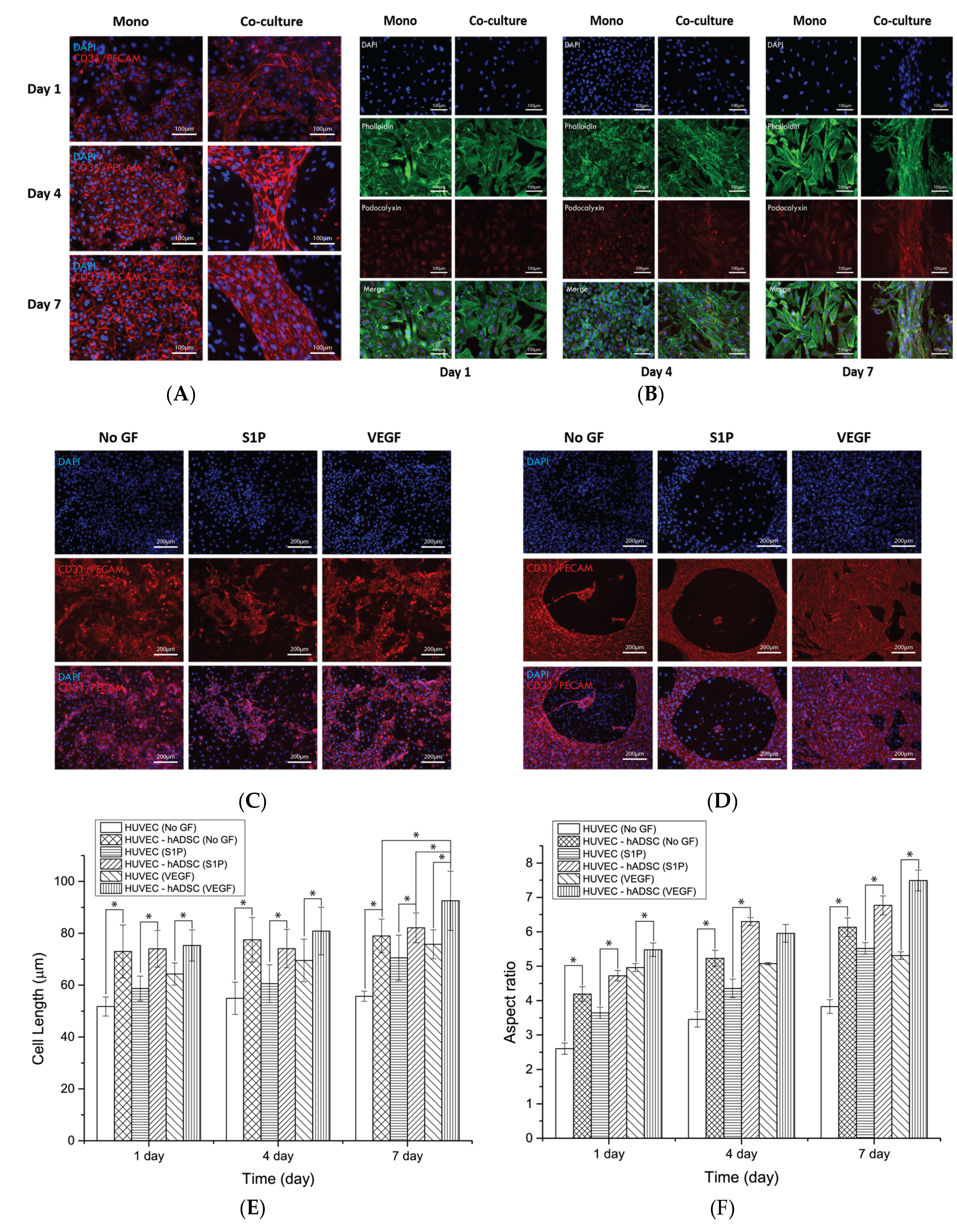 Nanomaterials 08 00117 g004