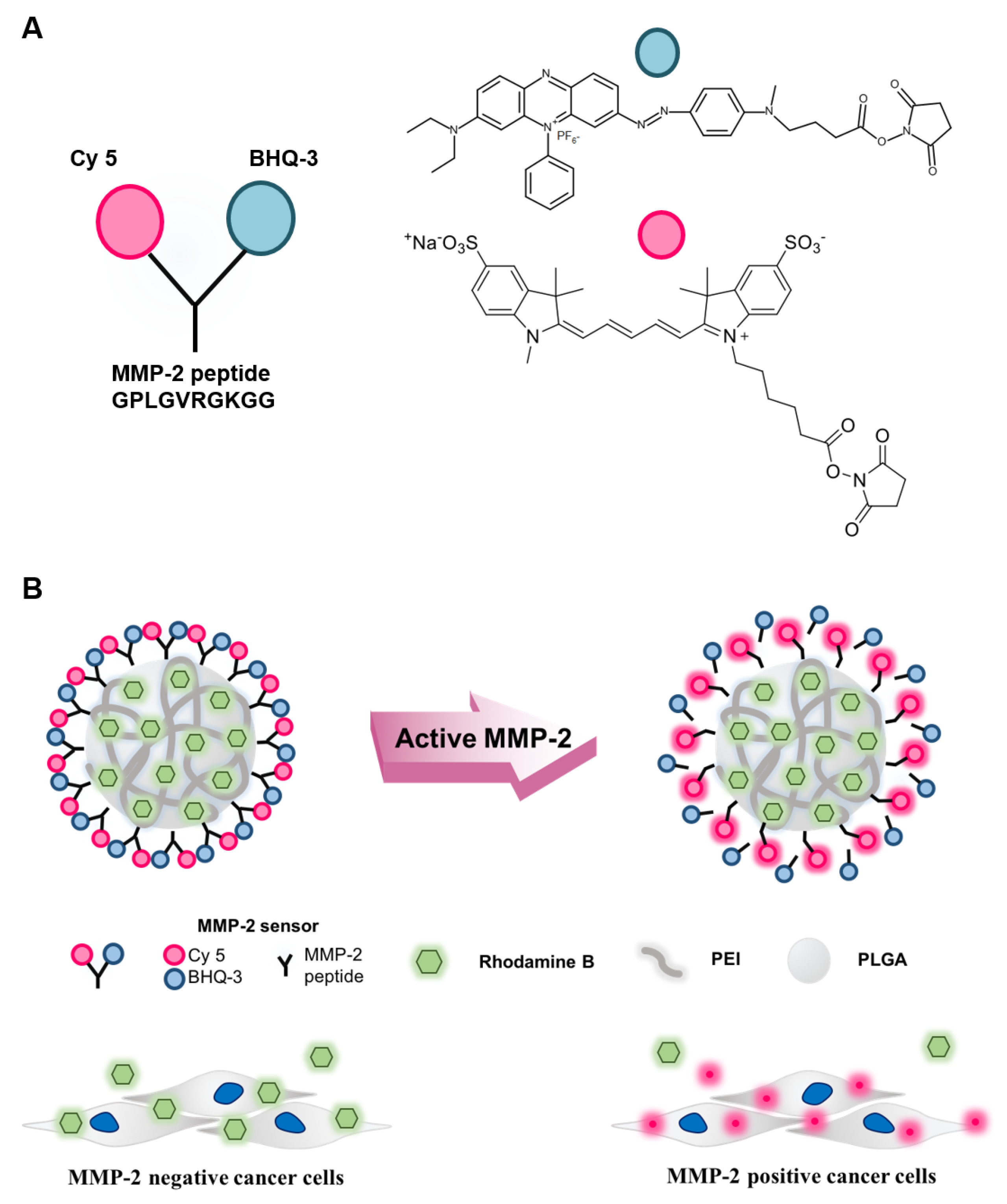 Nanomaterials 08 00119 g001
