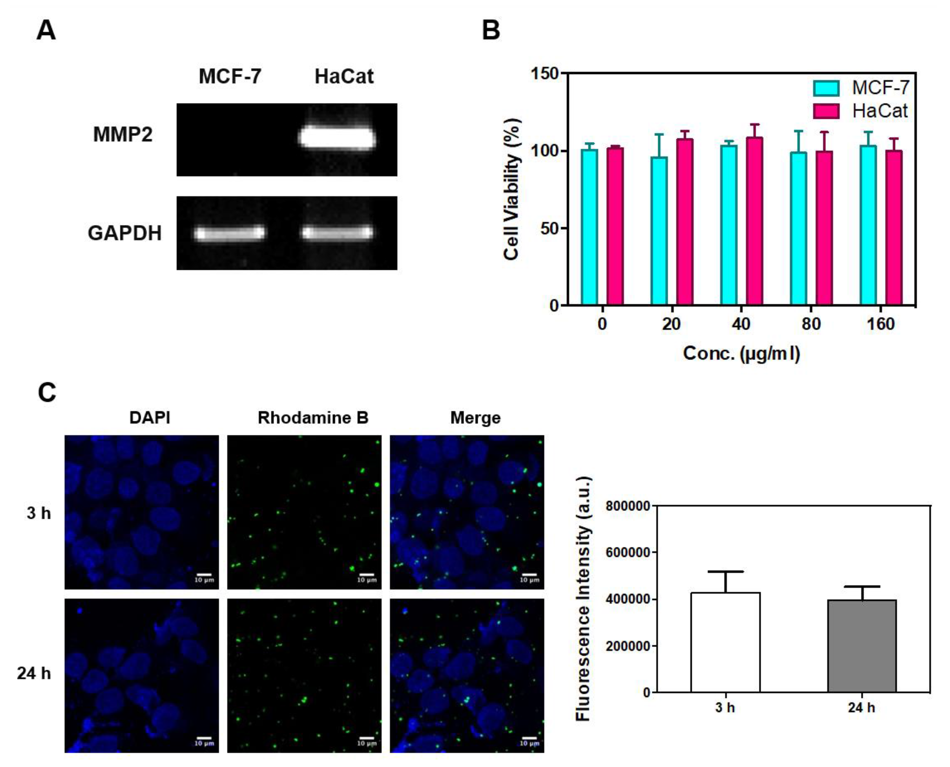 Nanomaterials 08 00119 g004
