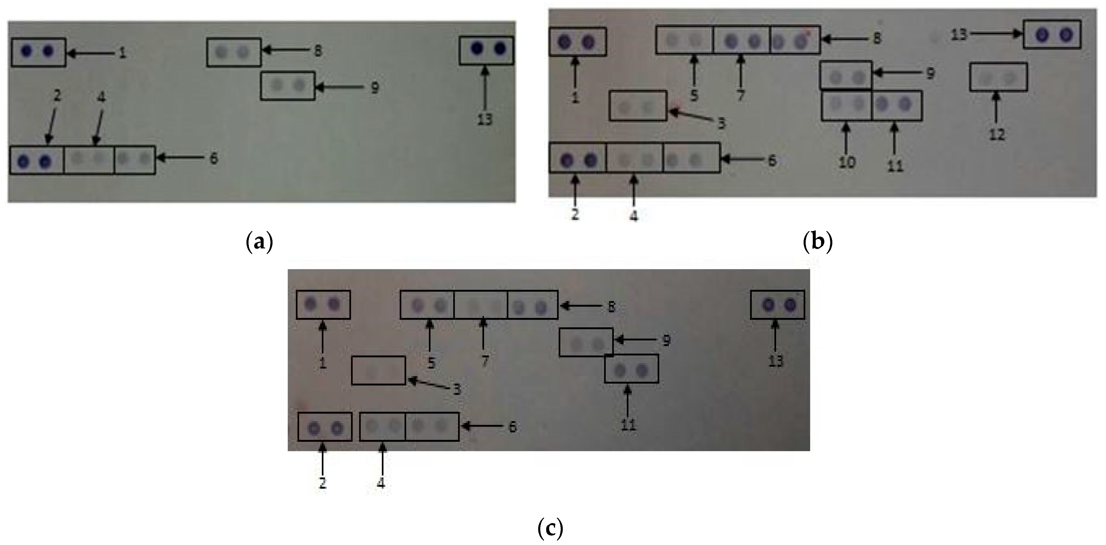 Nanomaterials 08 00125 g007 Nanomaterials 08 00125 g007