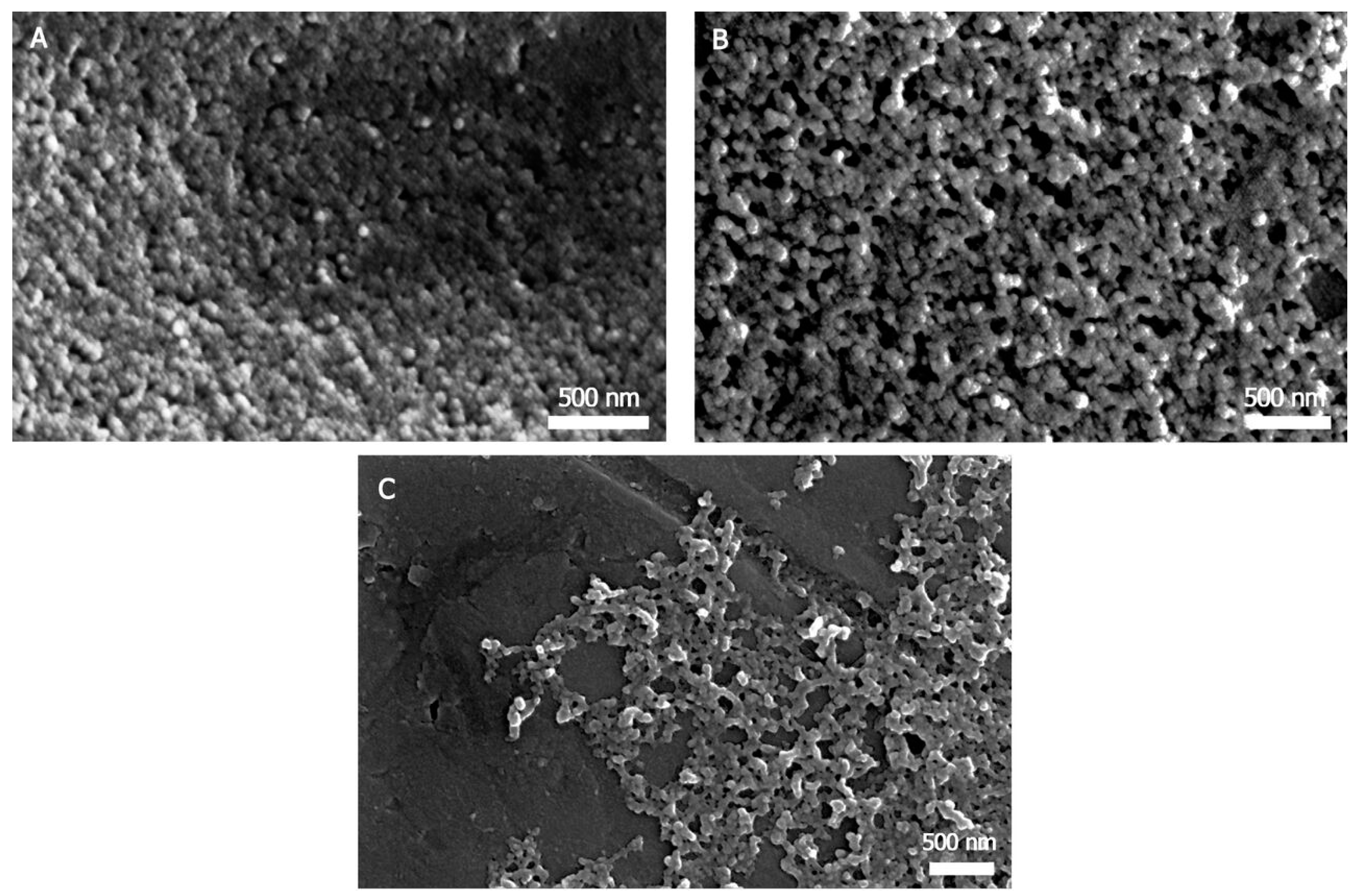 Nanomaterials 08 00126 g003