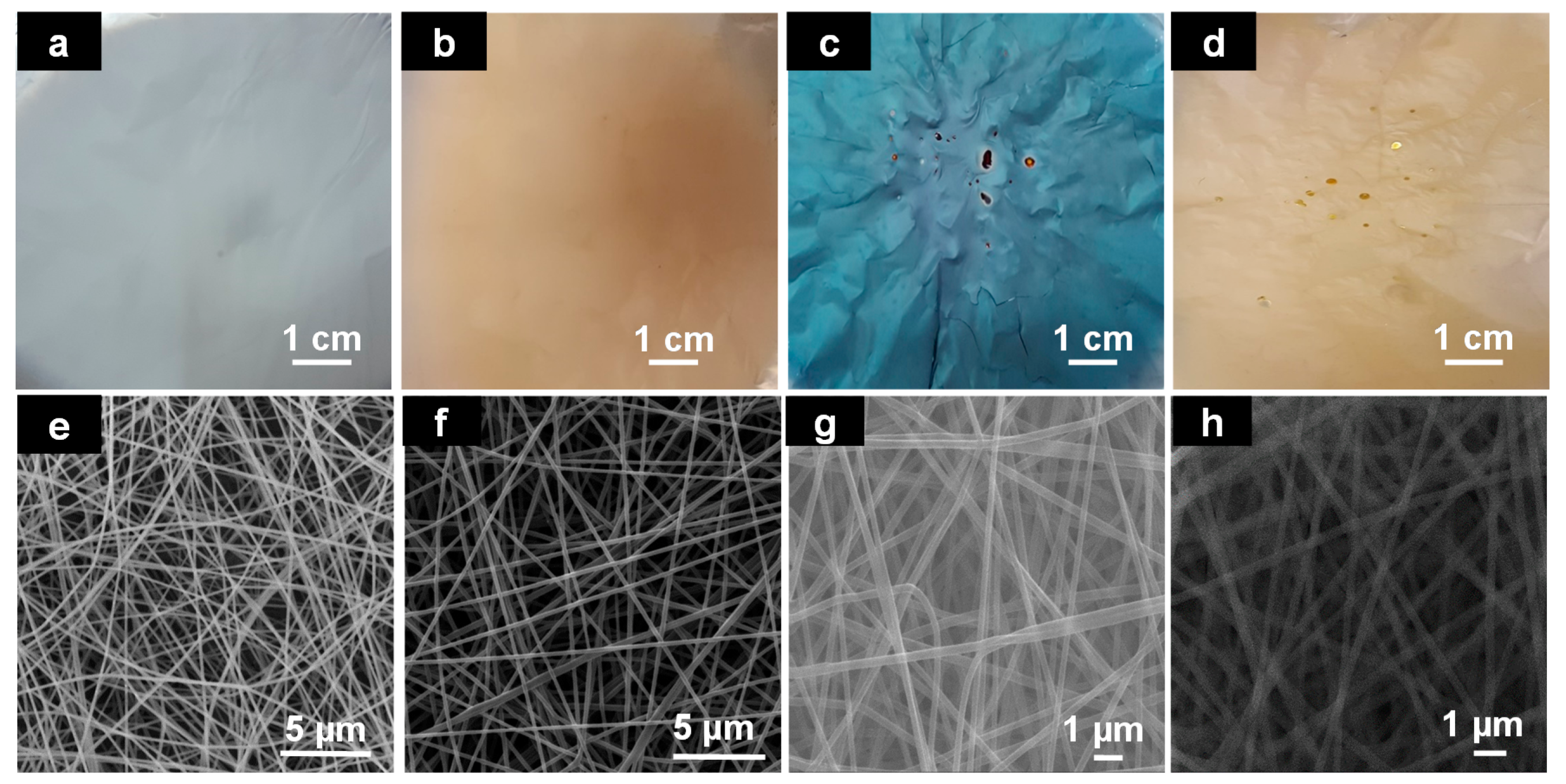 Nanomaterials 08 00128 g001