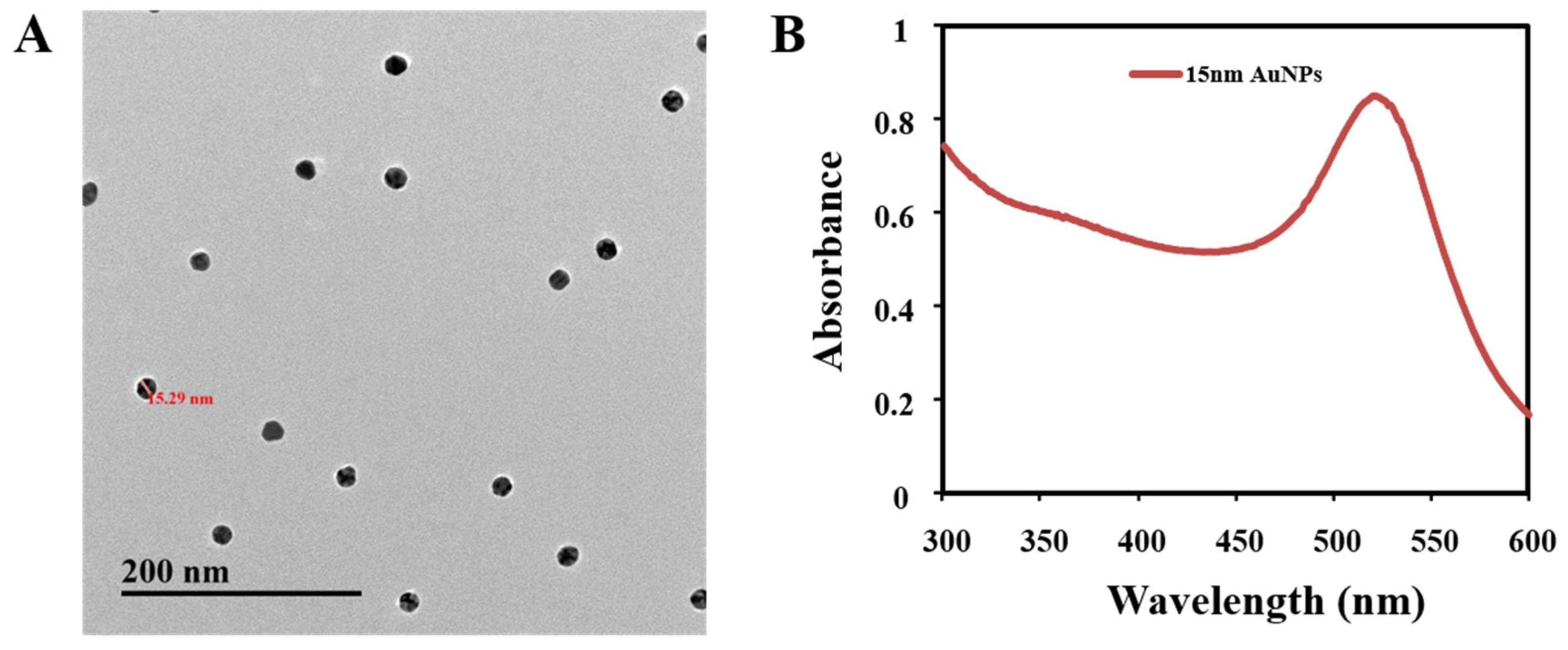 Nanomaterials 08 00144 g006