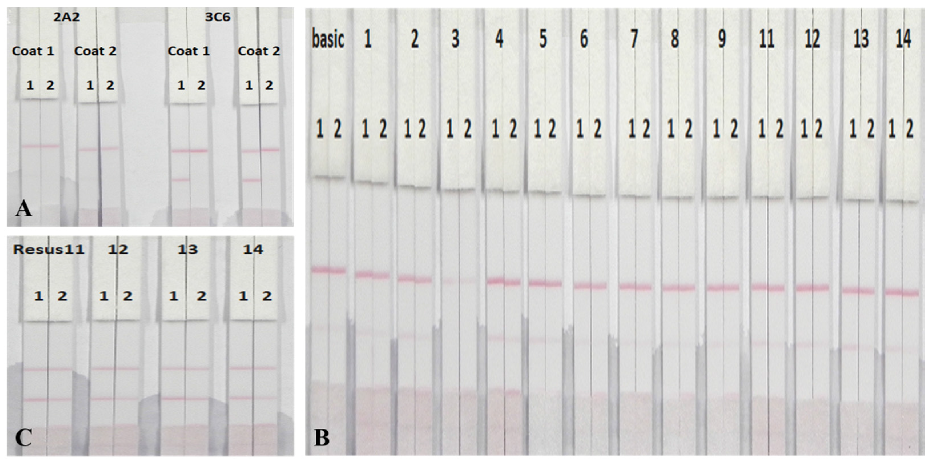 Nanomaterials 08 00144 g007
