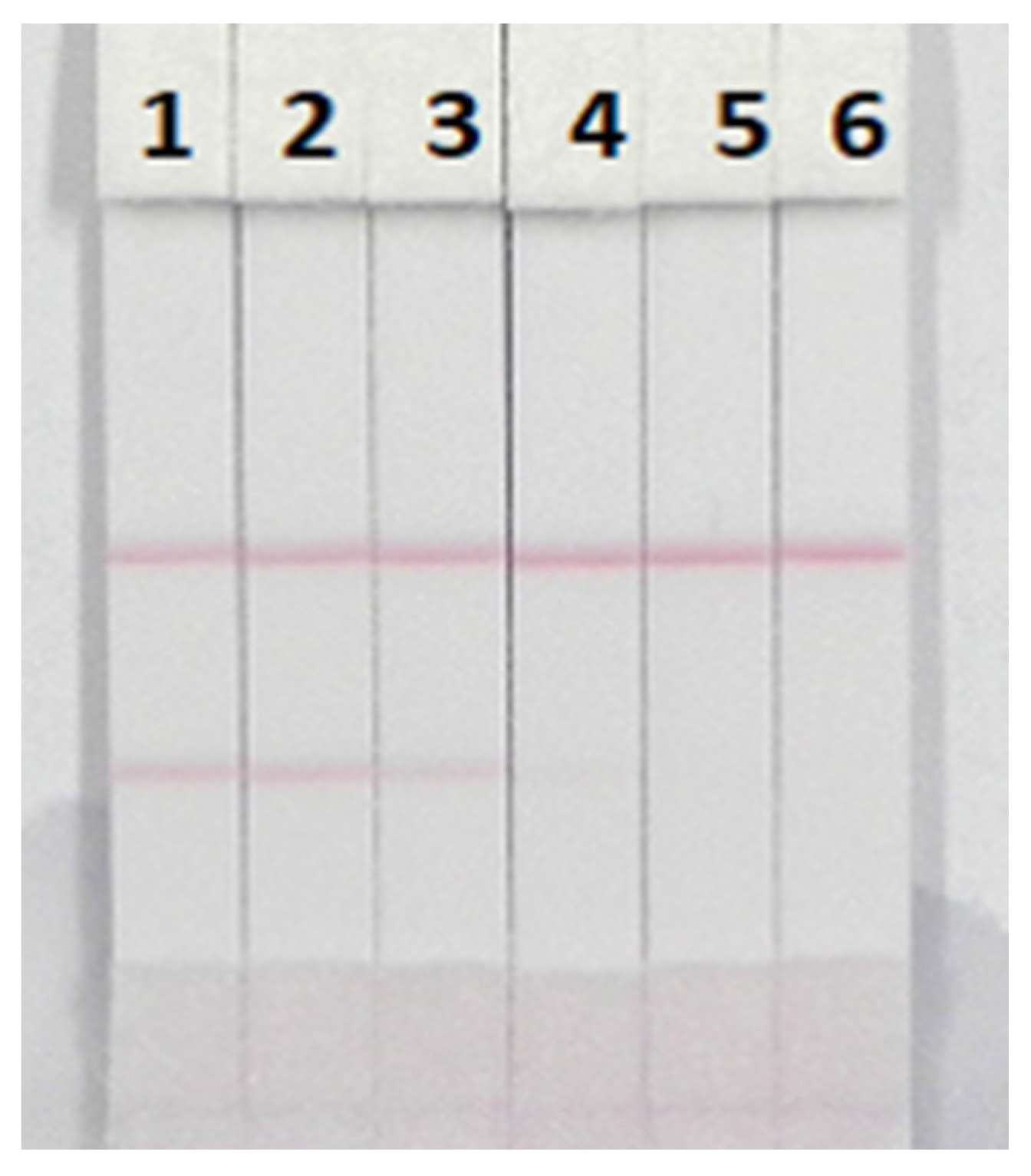 Nanomaterials 08 00144 g008