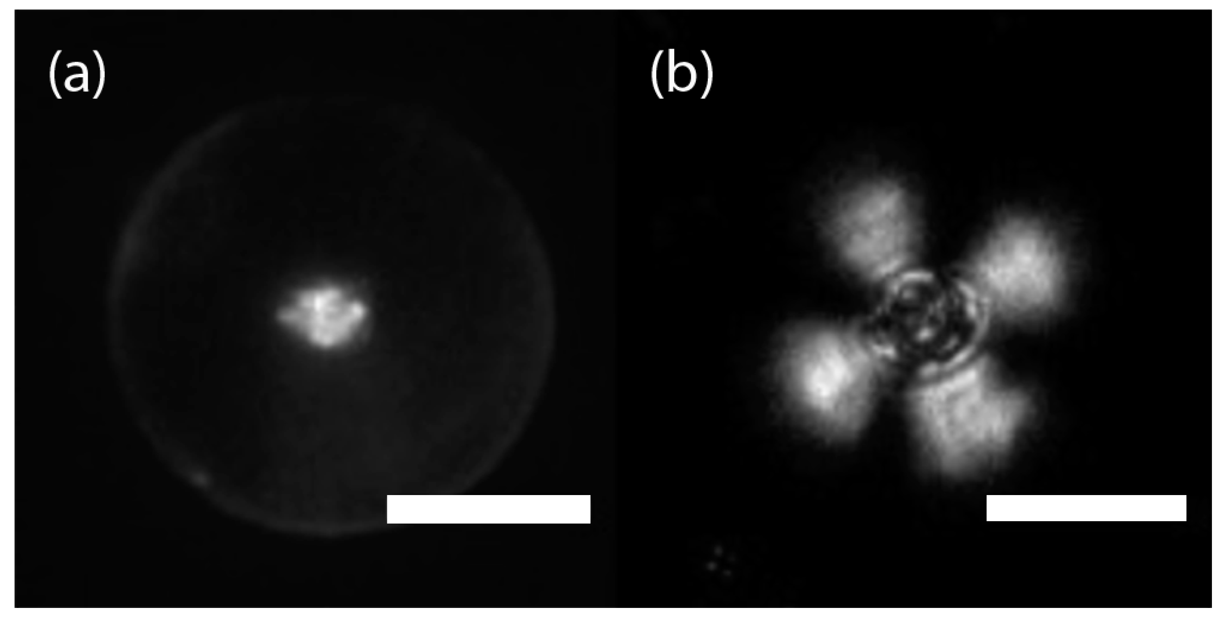 Nanomaterials 08 00146 g003 550