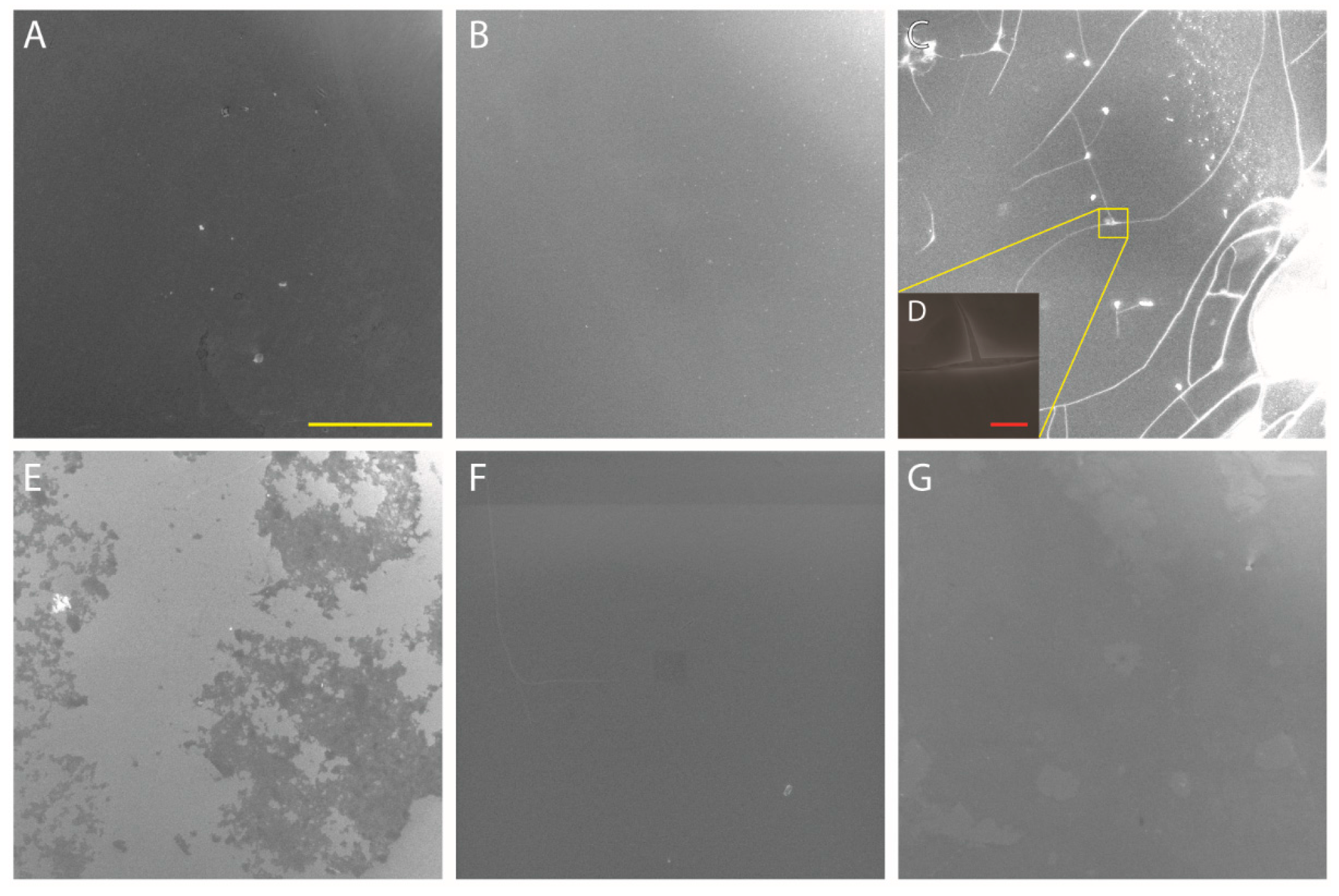 Nanomaterials 08 00148 g009 Nanomaterials 08 00148 g009
