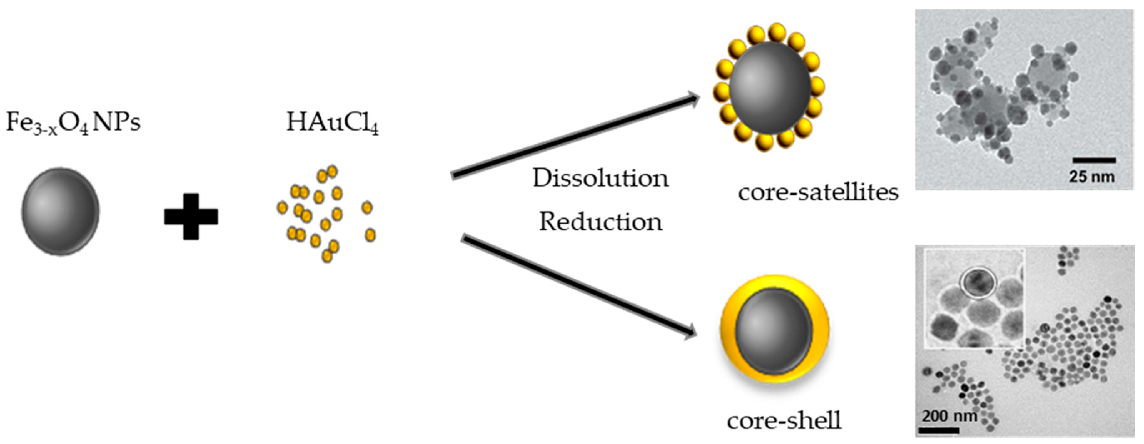 Nanomaterials 08 00149 g006