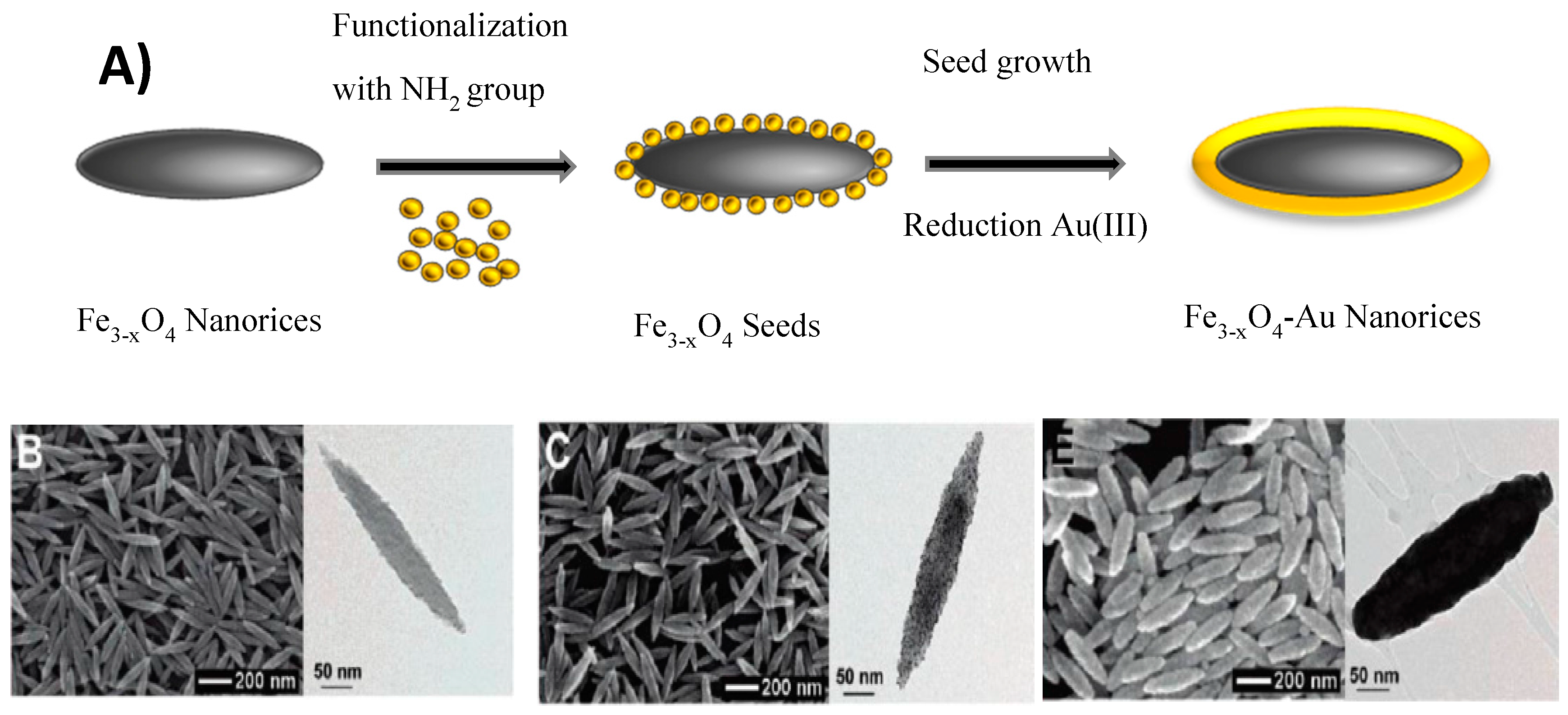 Nanomaterials 08 00149 g008