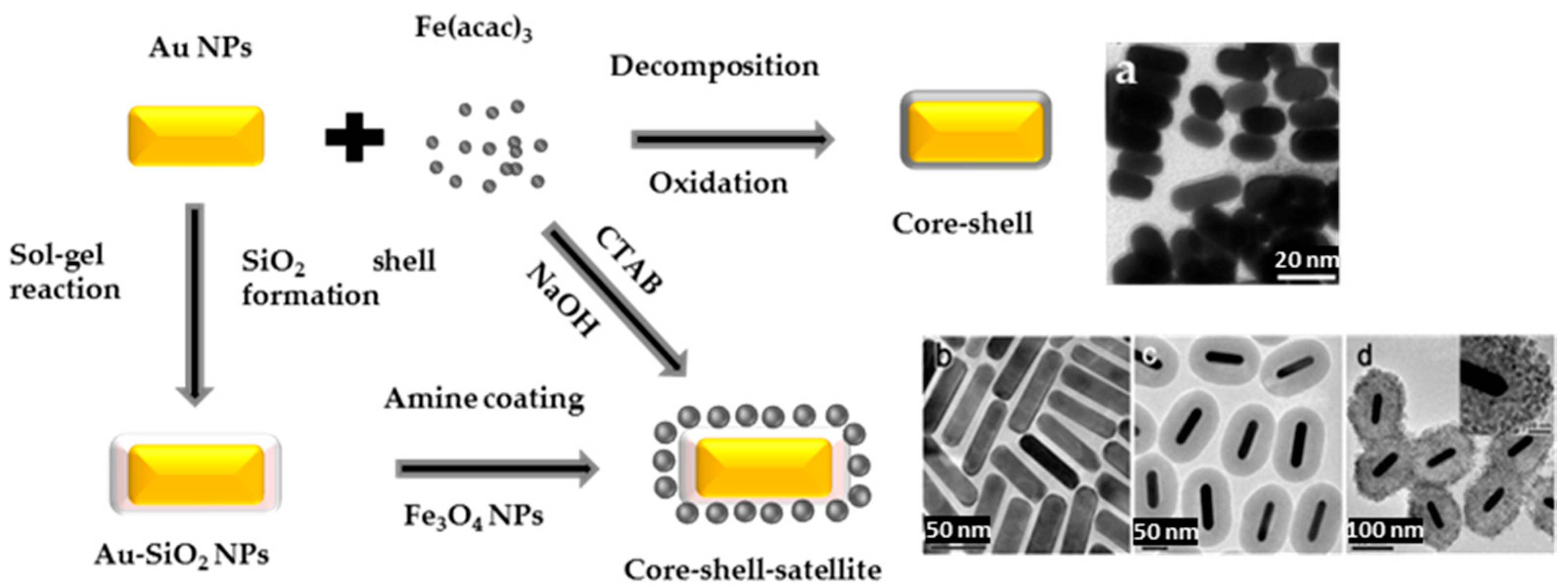 Nanomaterials 08 00149 g015