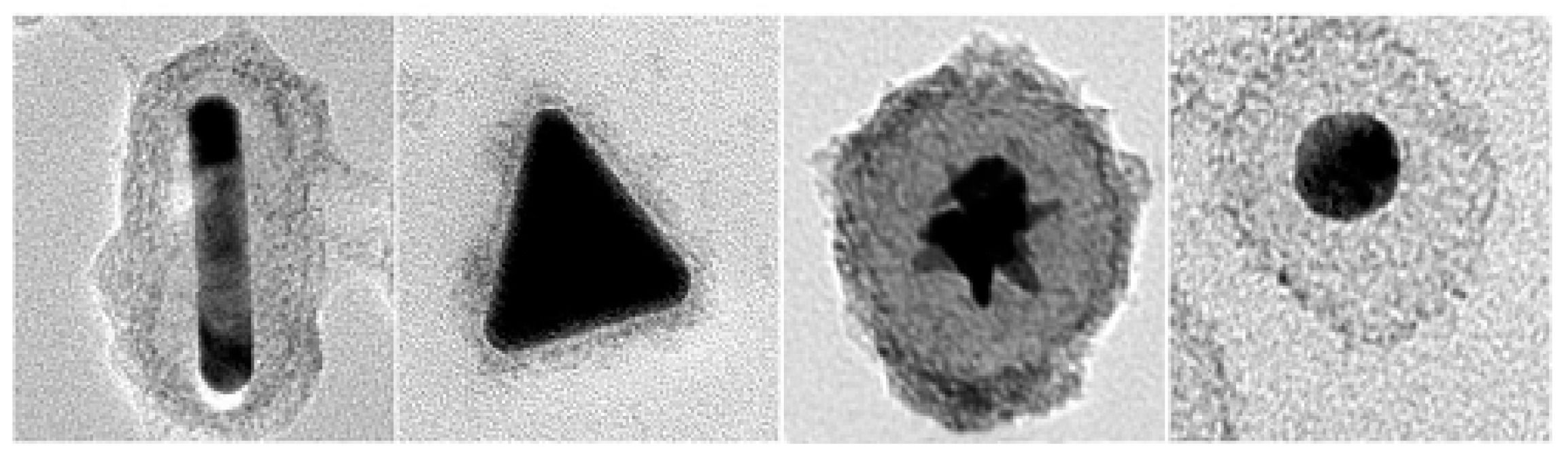 Nanomaterials 08 00149 g016