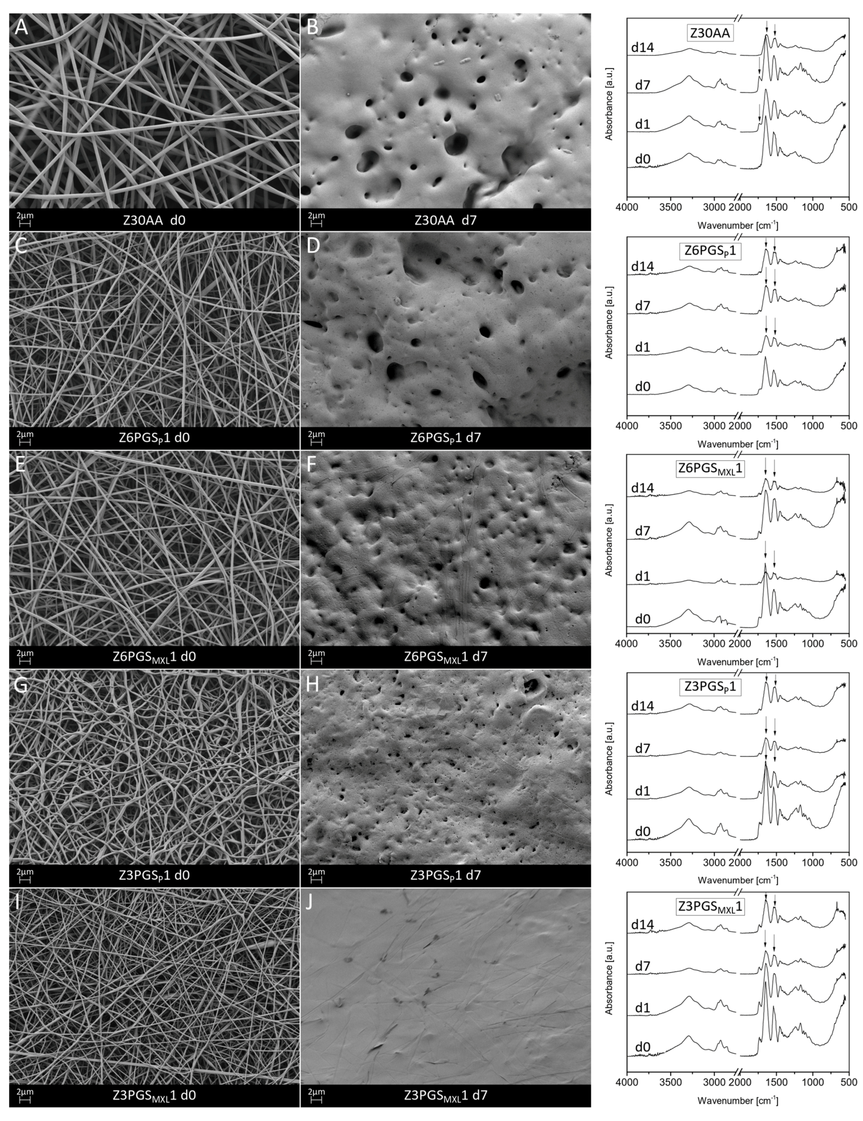 Nanomaterials 08 00150 g006