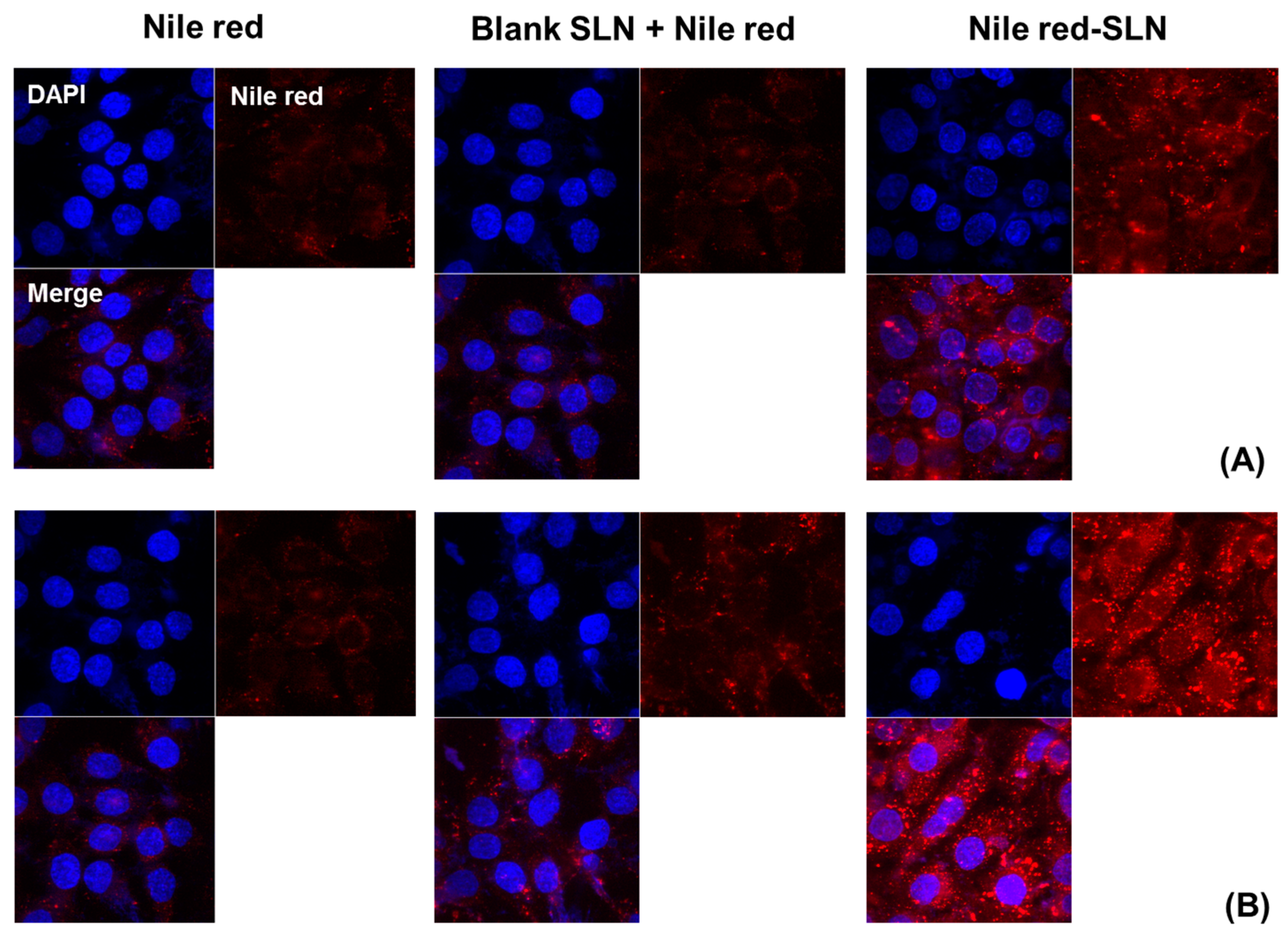 Nanomaterials 08 00159 g007 550