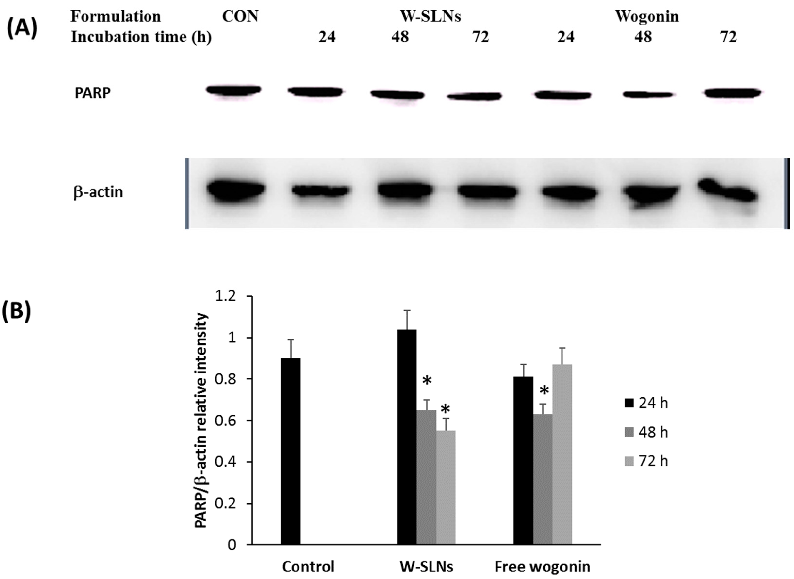 Nanomaterials 08 00159 g008 550