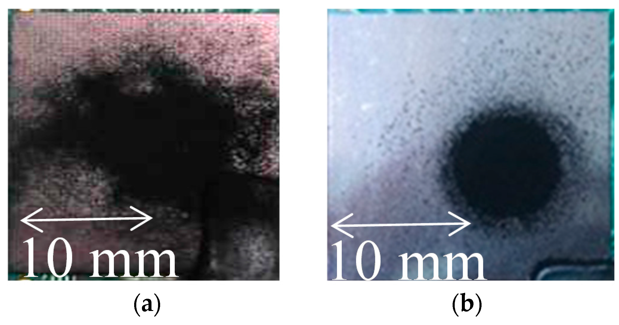 Nanomaterials 08 00164 g010
