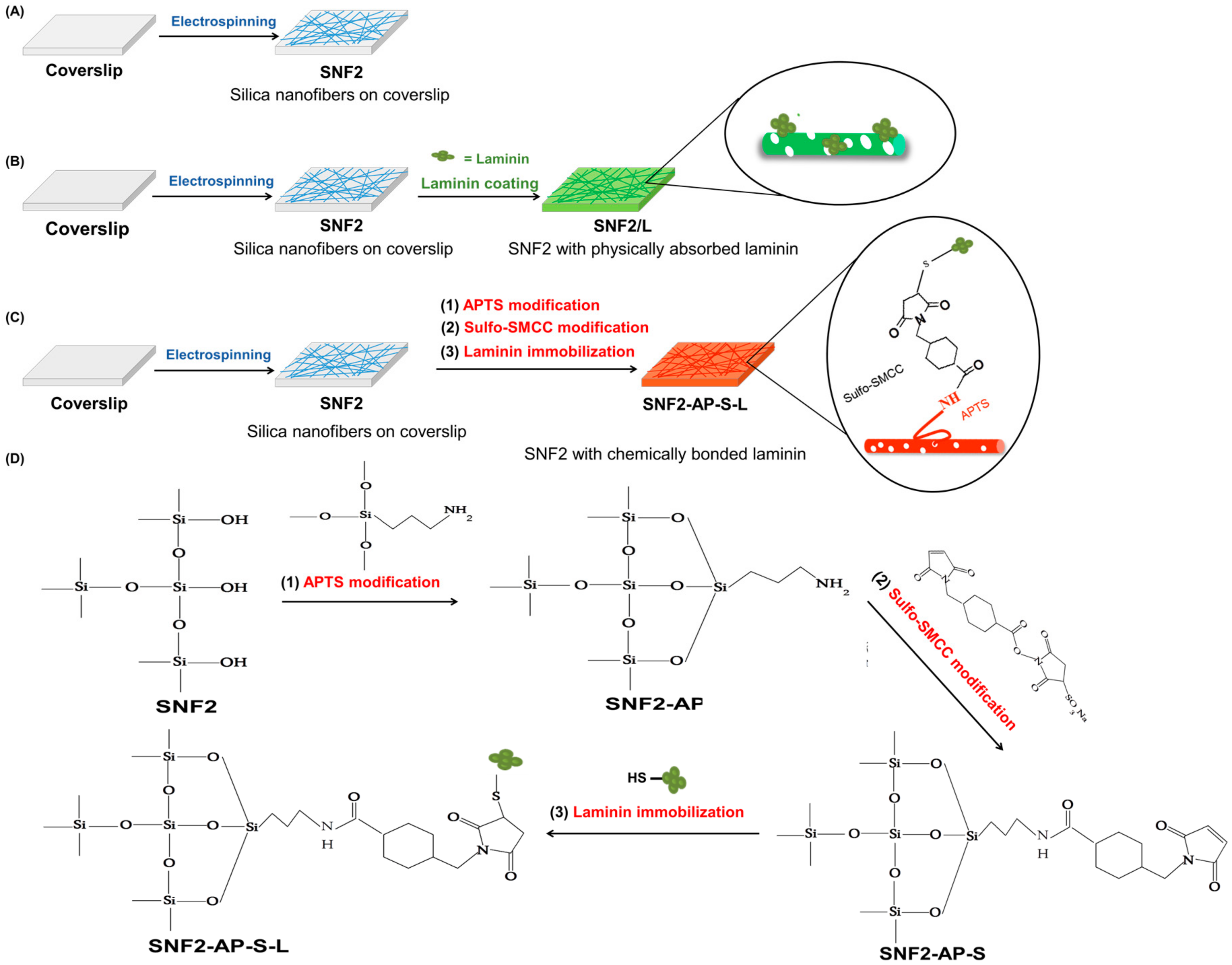 Nanomaterials 08 00165 g001 Nanomaterials 08 00165 g001