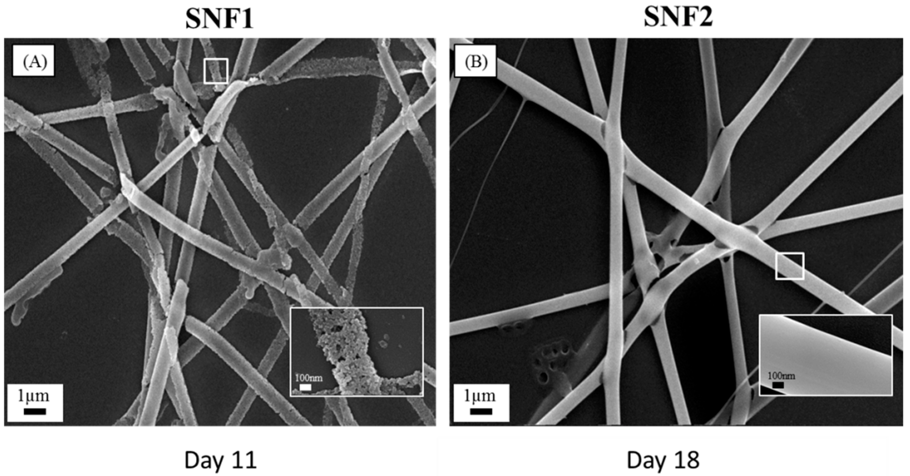 Nanomaterials 08 00165 g002 Nanomaterials 08 00165 g002