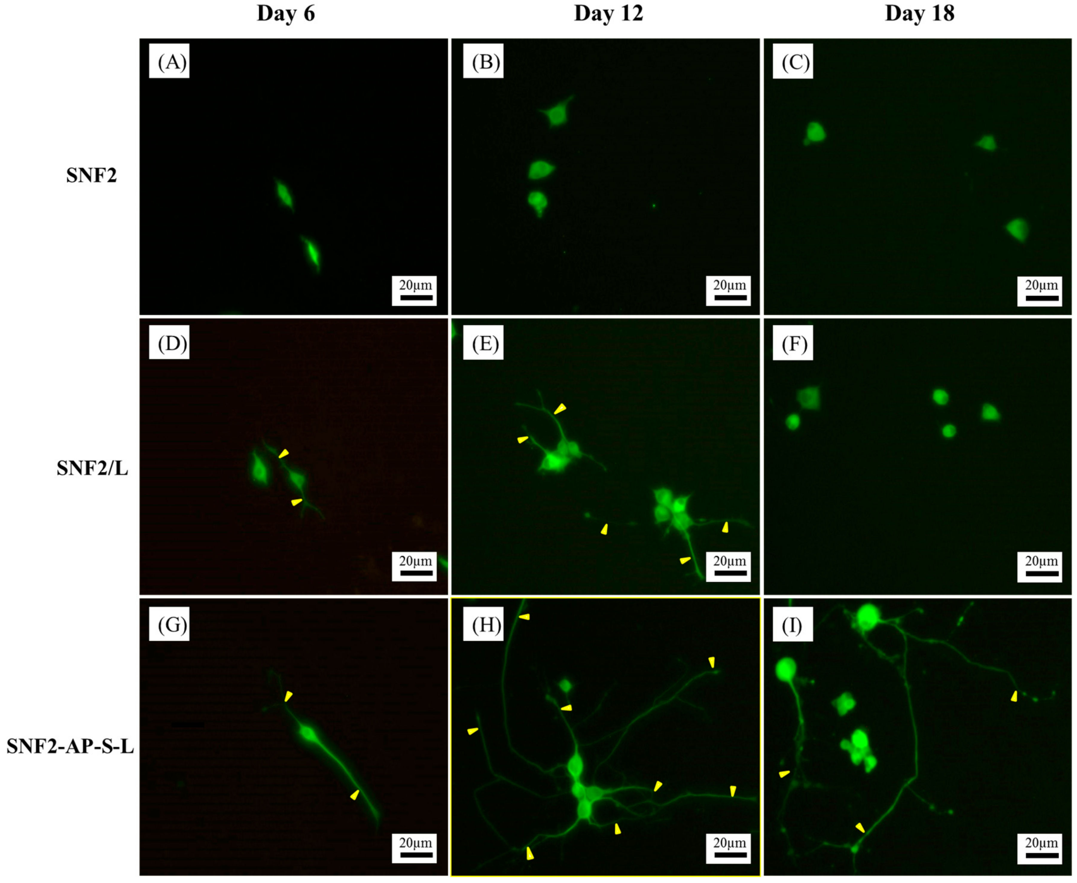 Nanomaterials 08 00165 g007 Nanomaterials 08 00165 g007