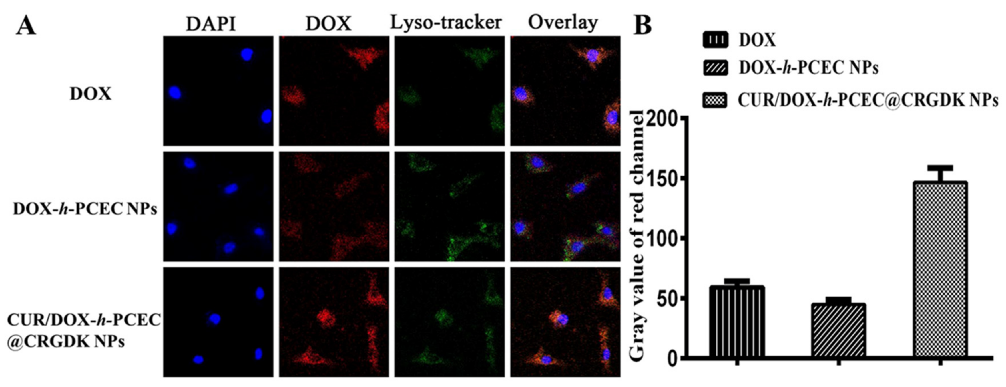 Nanomaterials 08 00167 g005