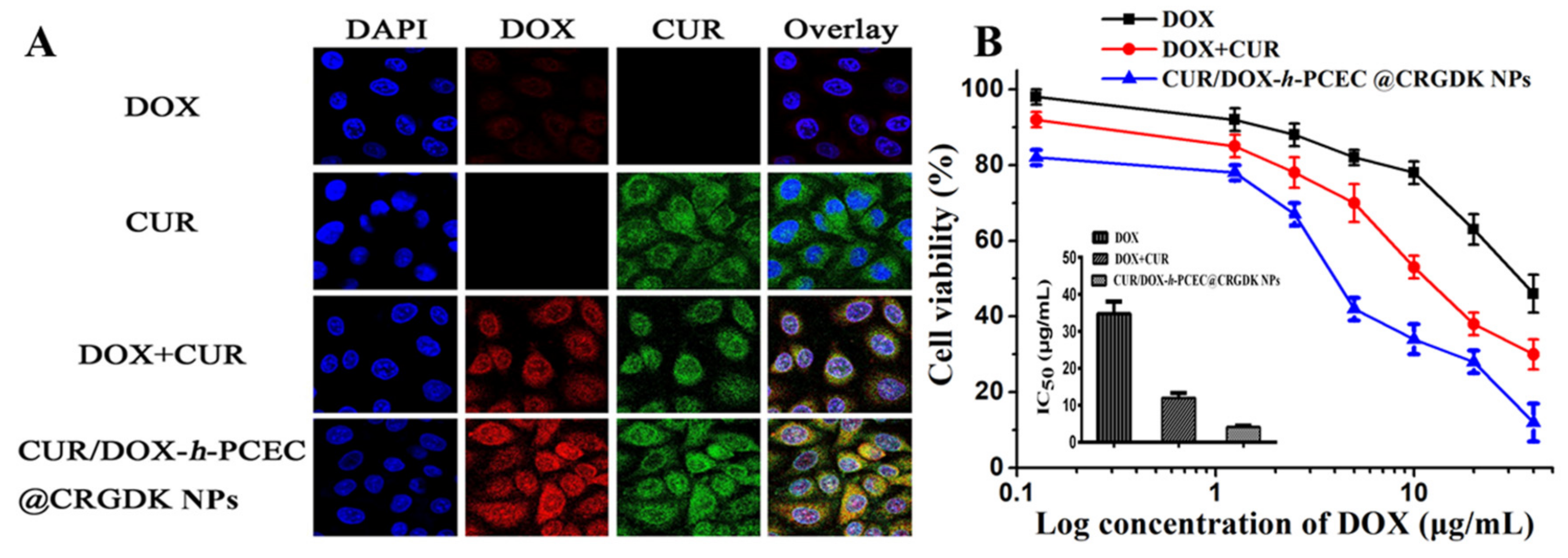 Nanomaterials 08 00167 g006