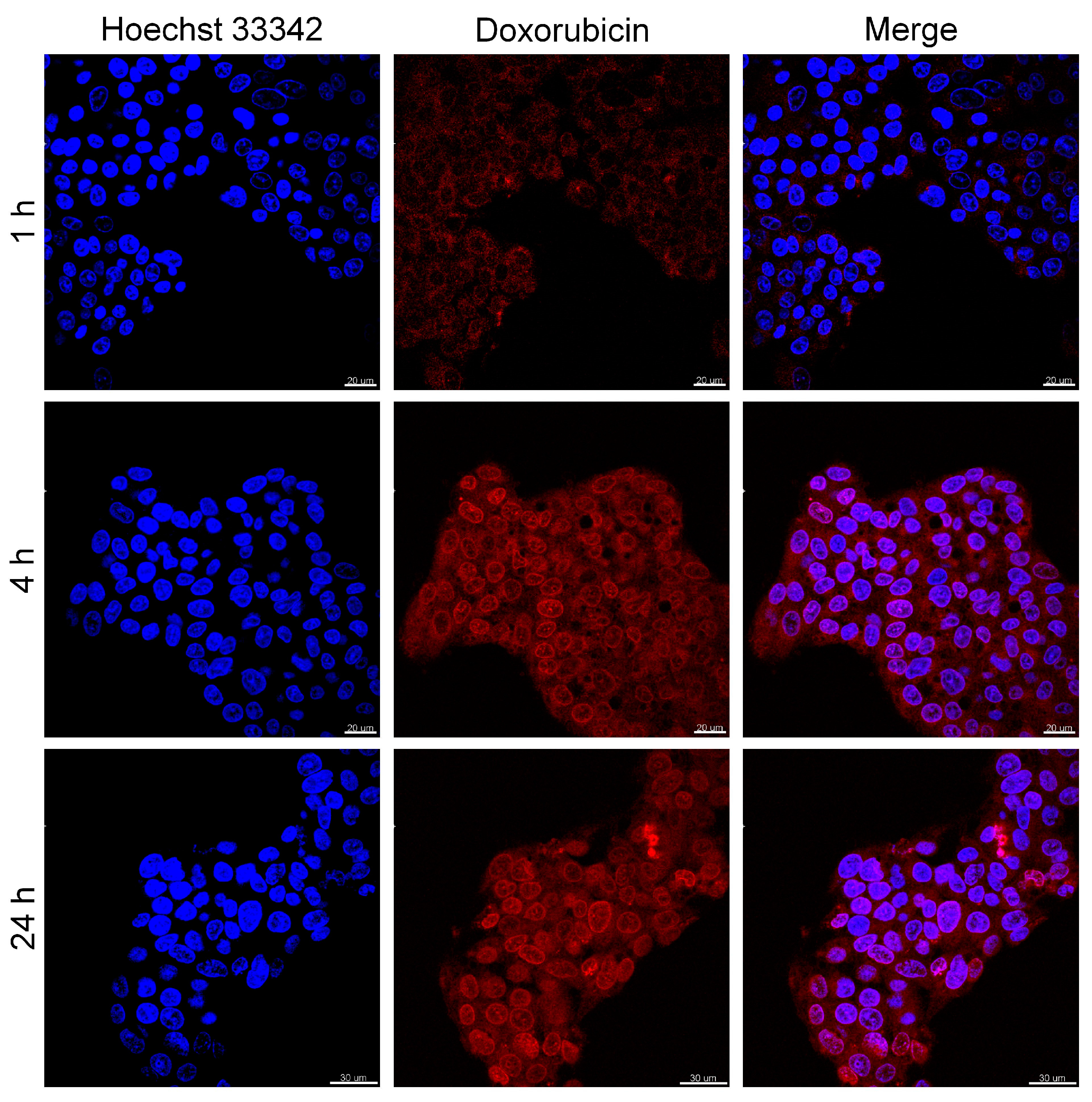 Nanomaterials 08 00170 g008