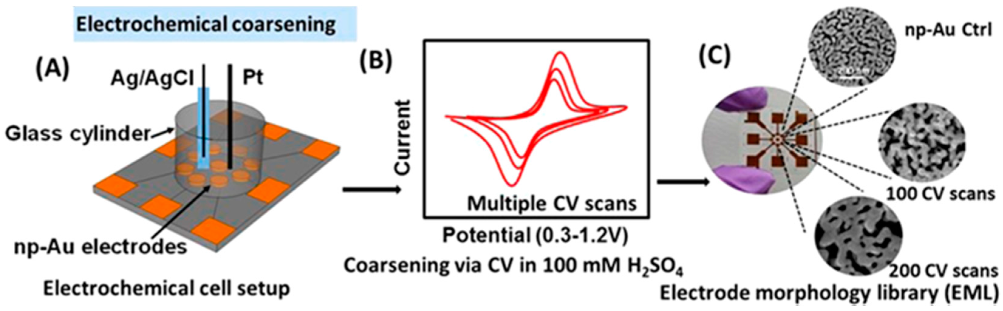 Nanomaterials 08 00171 g004