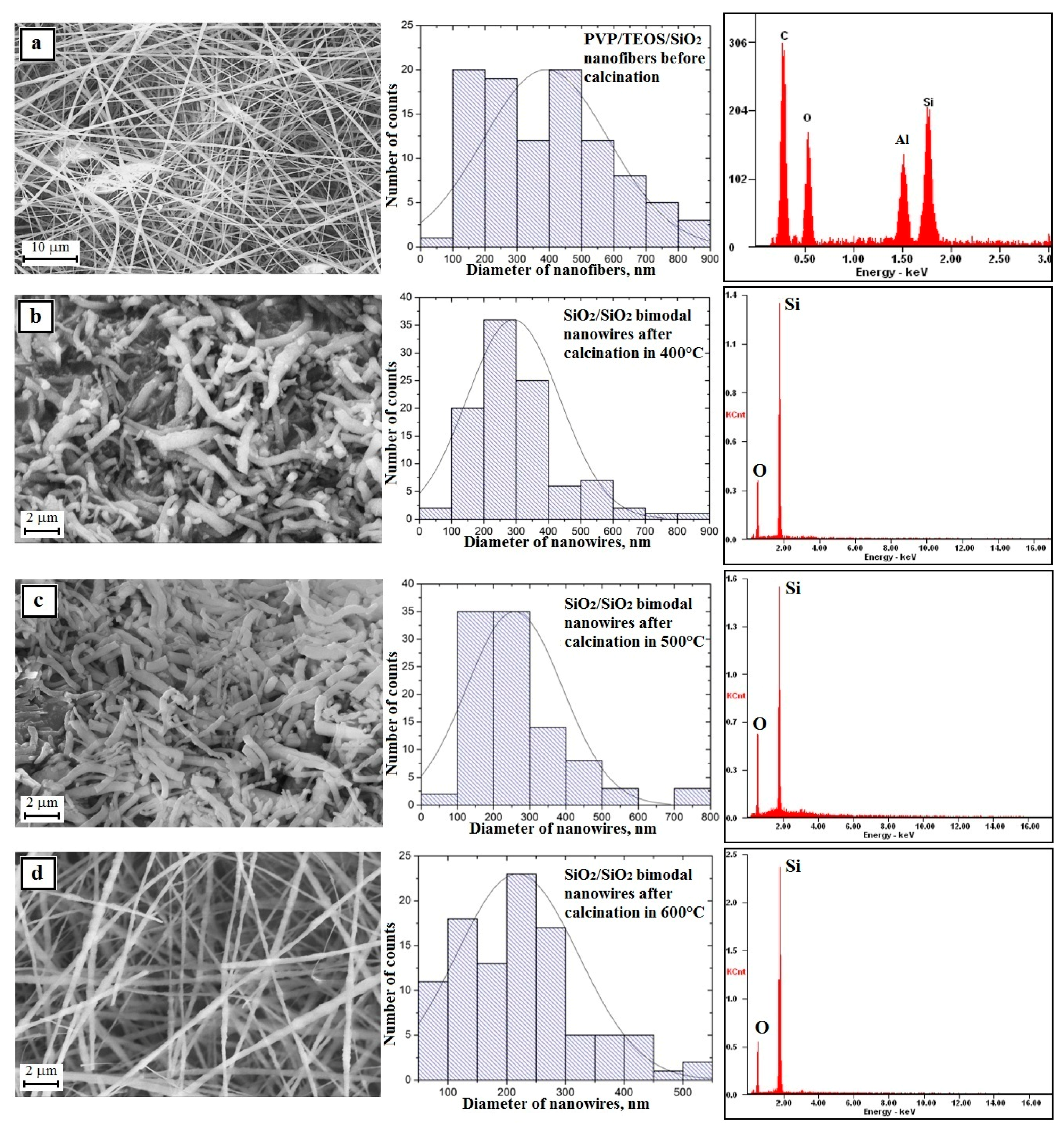 online sodium channels and neuronal hyperexcitability