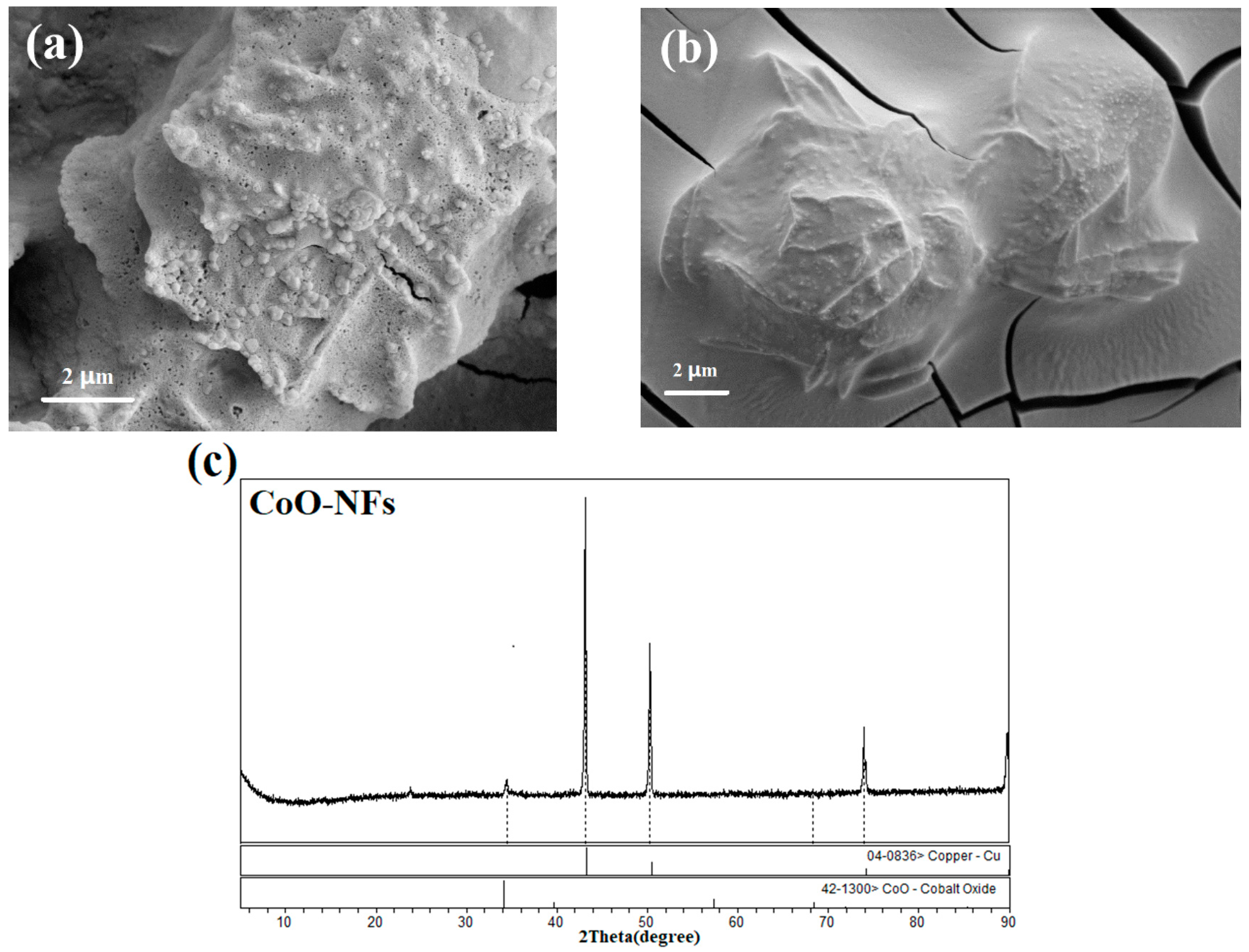 Nanomaterials 08 00183 g007a