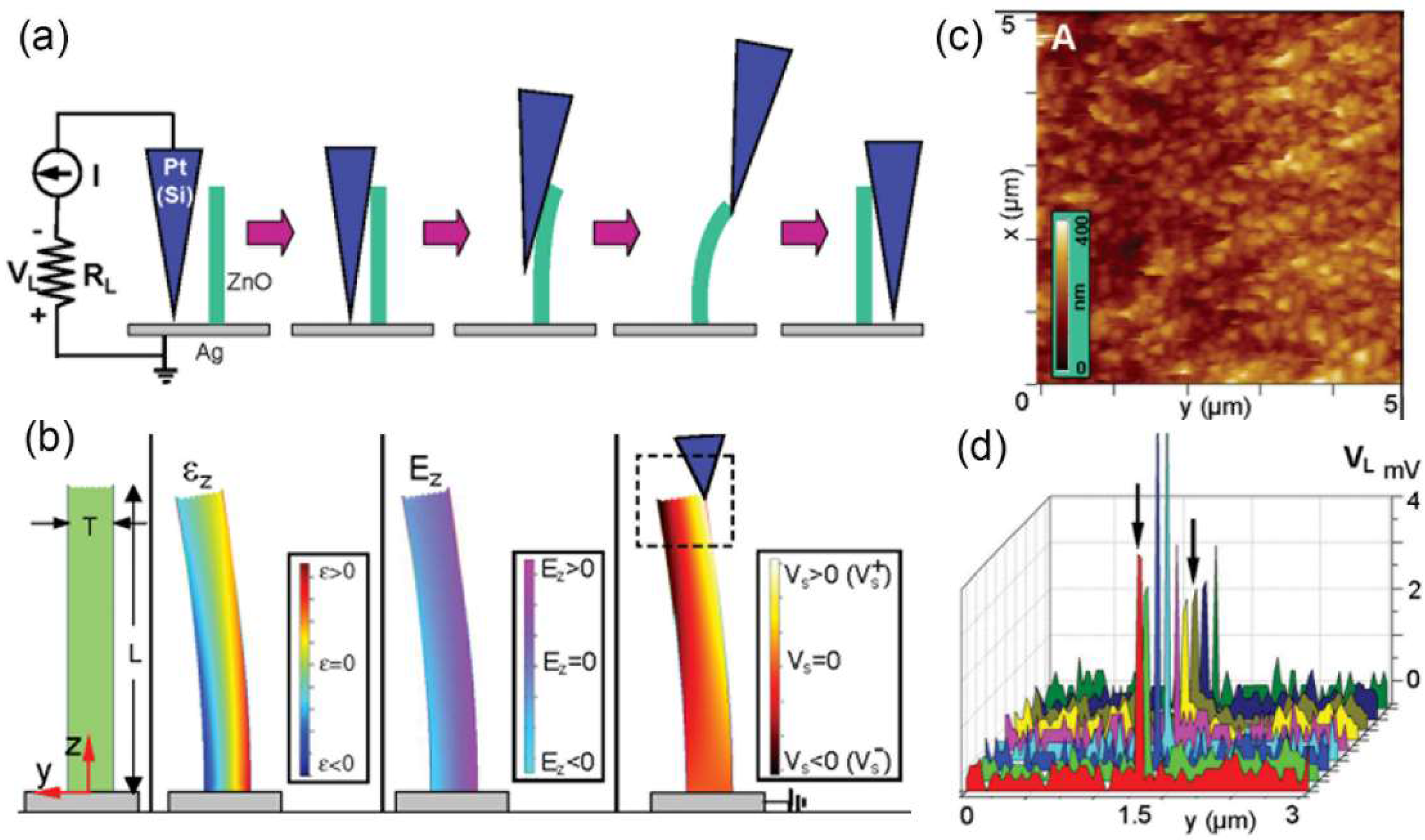 Nanomaterials 08 00188 g003