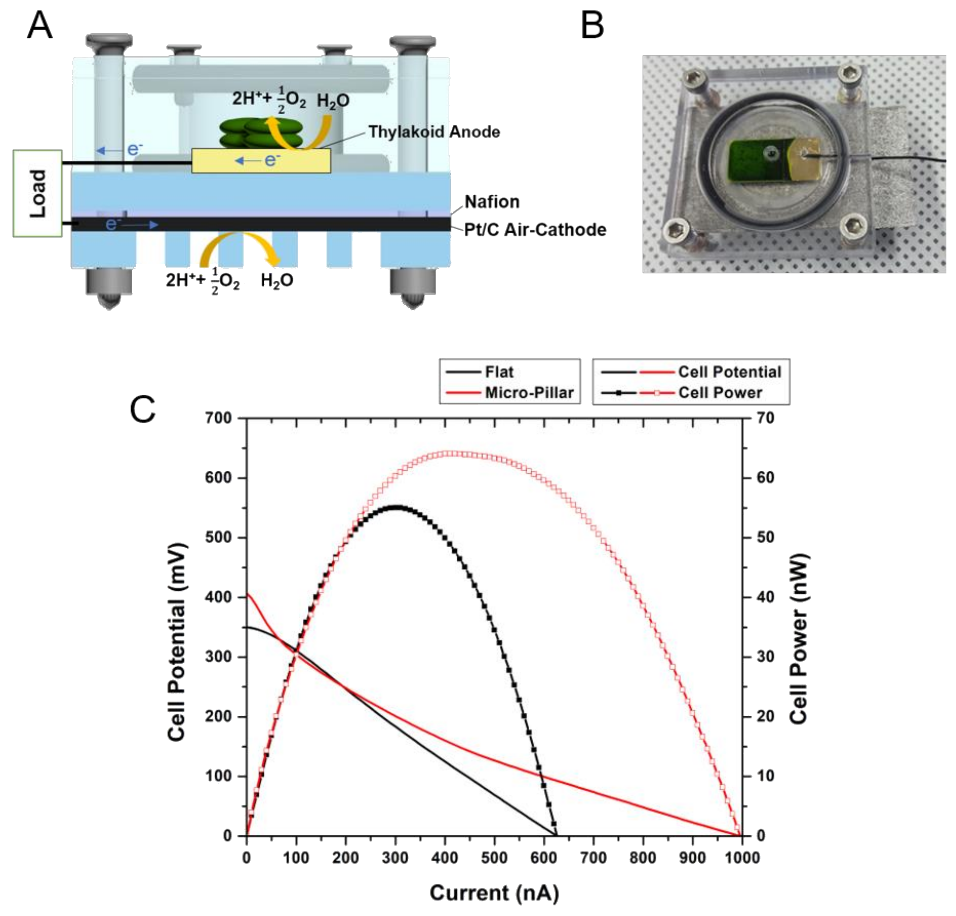Nanomaterials 08 00189 g007