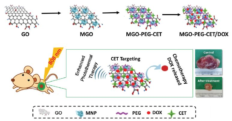 nanomaterials free full text magnetic graphene oxide monoclonal antibody therapy
