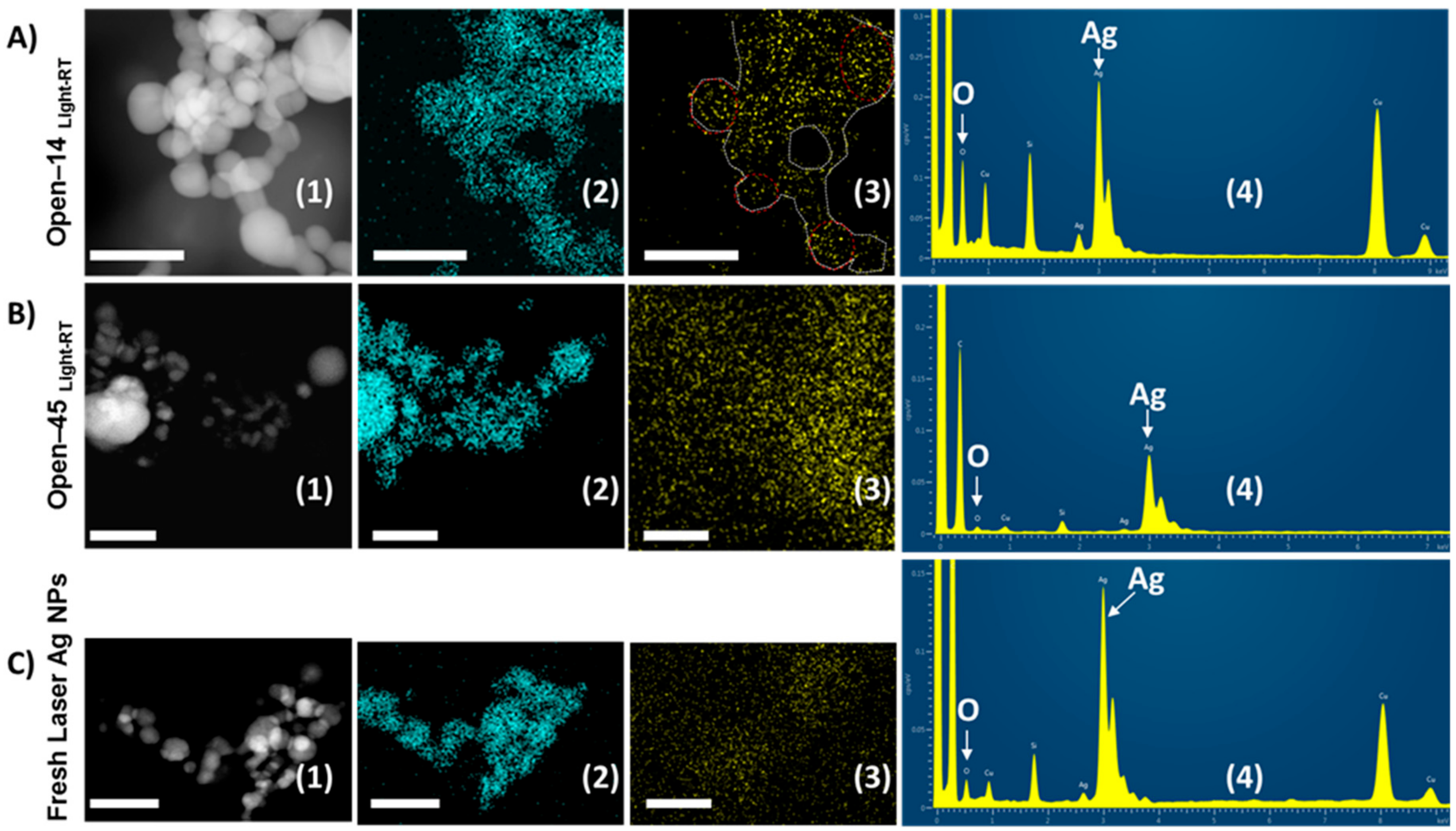 Nanomaterials 08 00218 g005 Nanomaterials 08 00218 g005