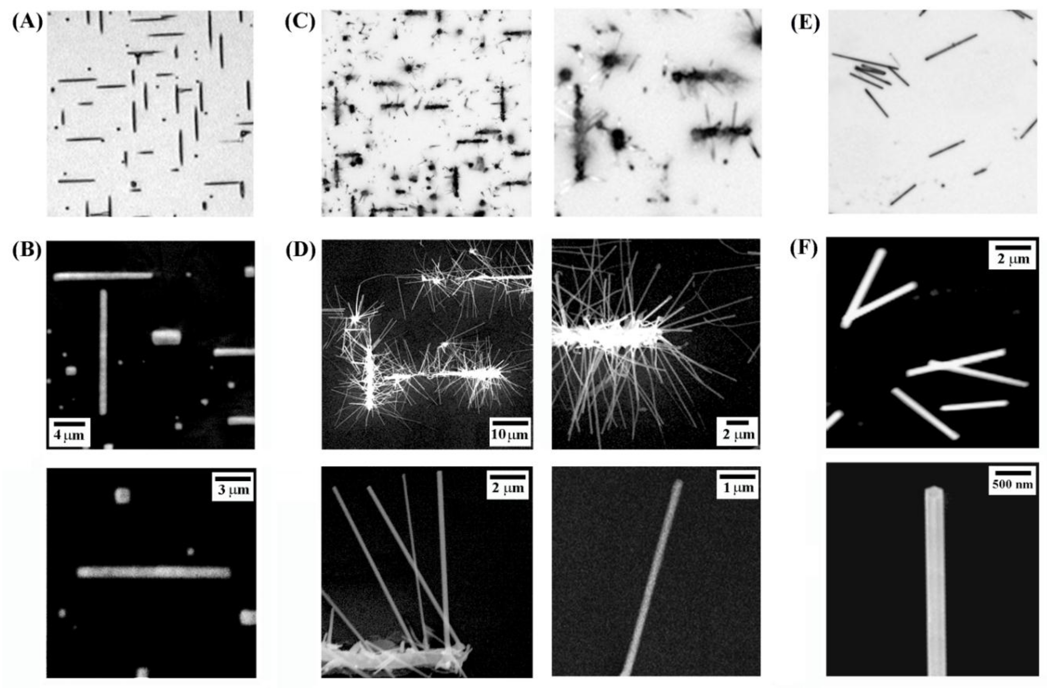 Nanomaterials 08 00222 g001