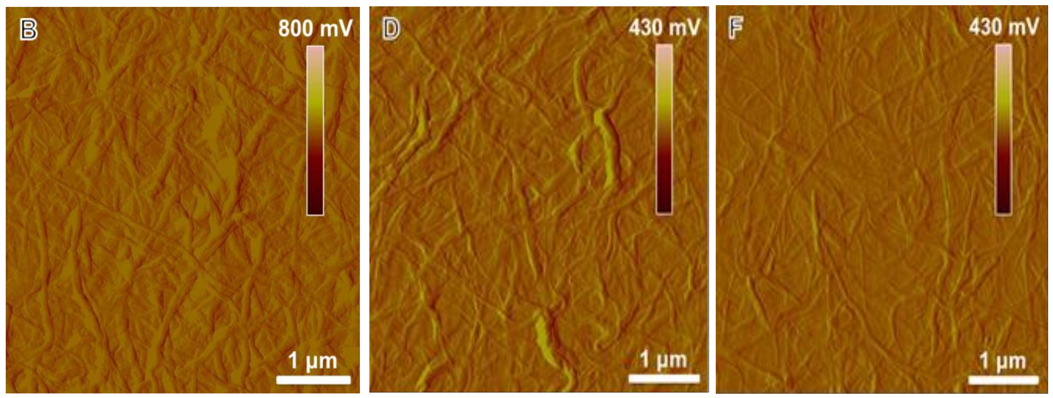 Nanomaterials 08 00224 g008b