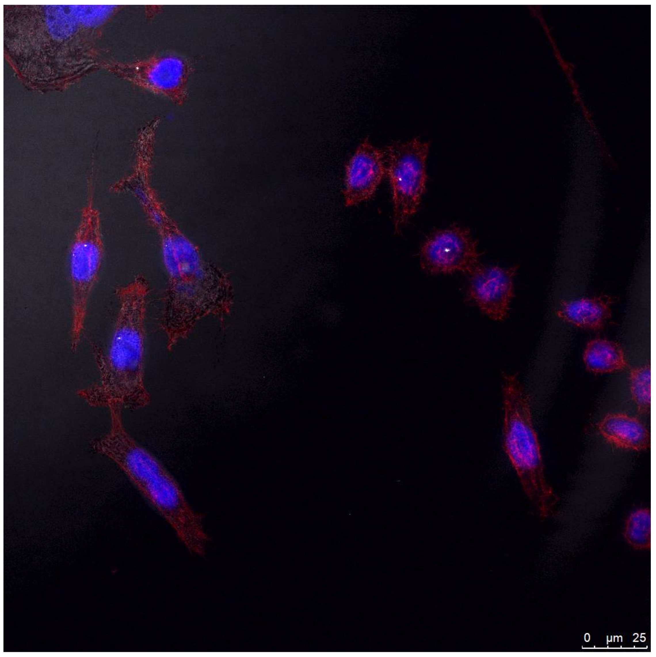 Nanomaterials 08 00231 g009