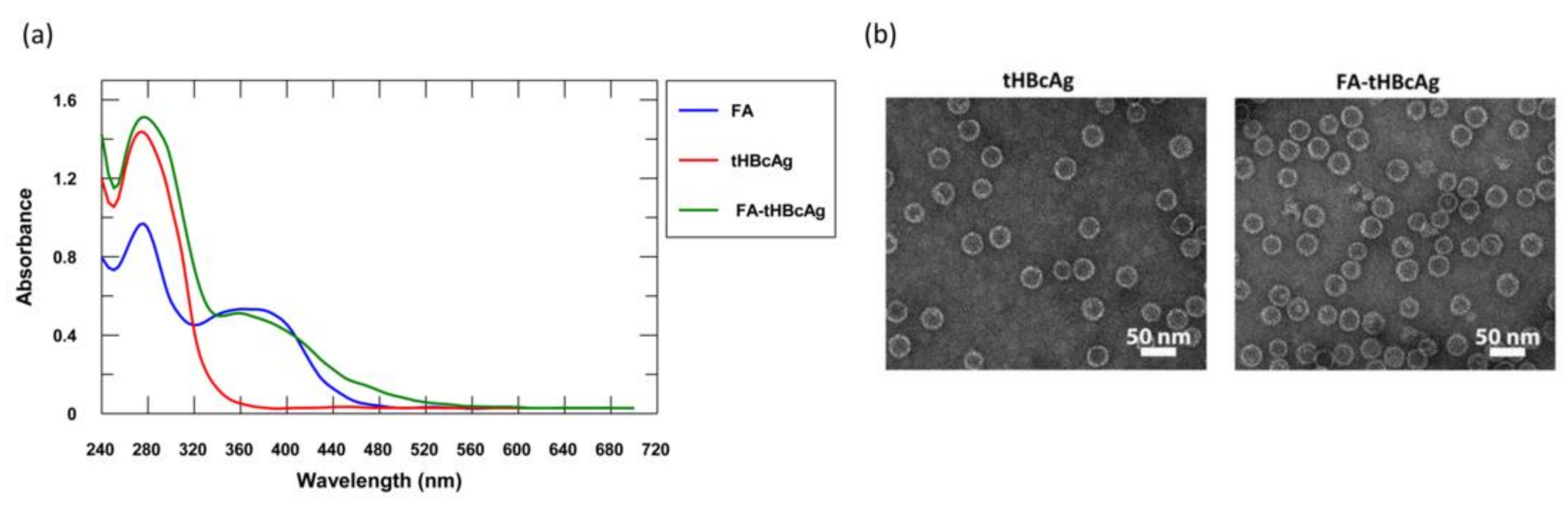 Nanomaterials 08 00236 g001