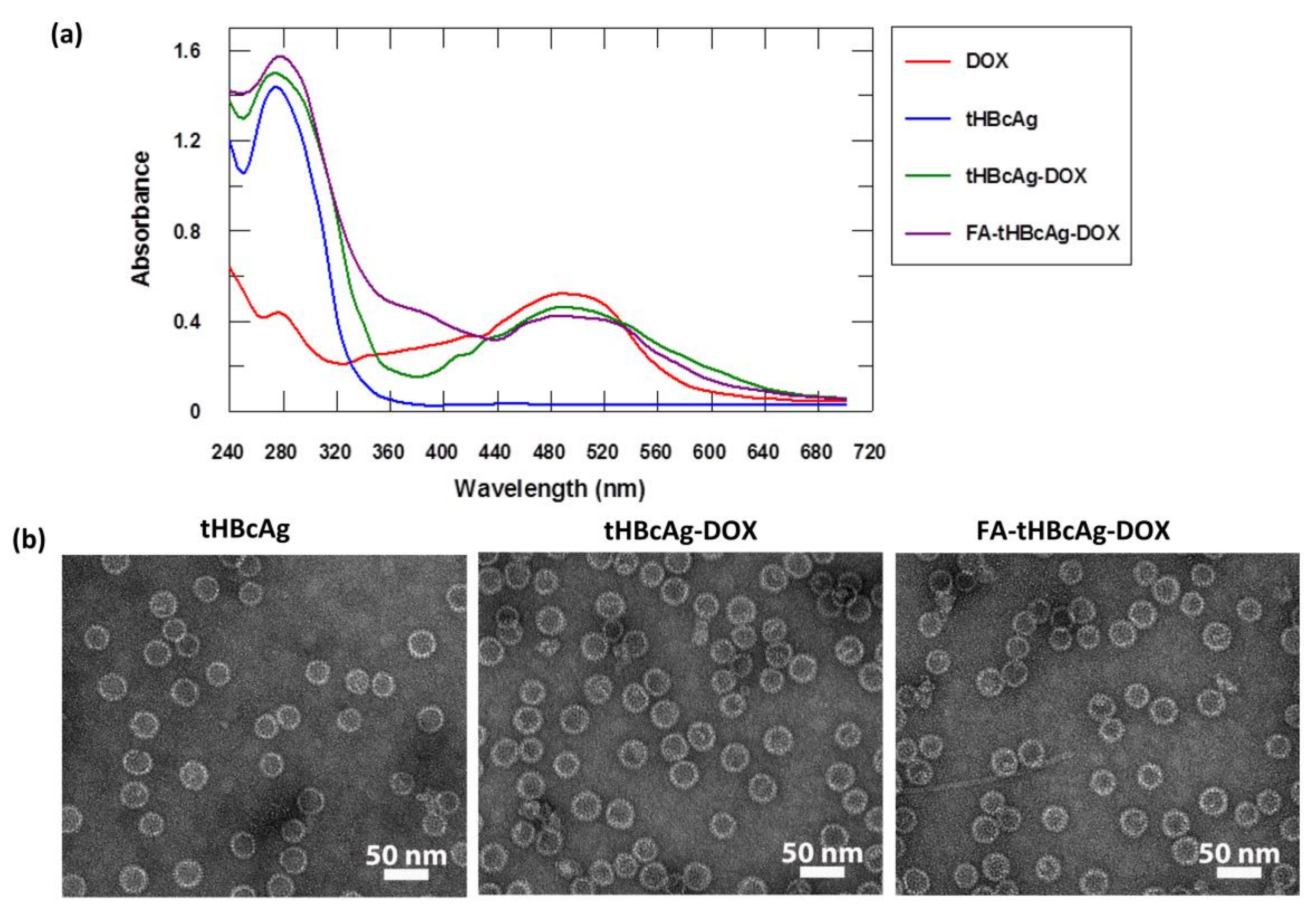 Nanomaterials 08 00236 g005