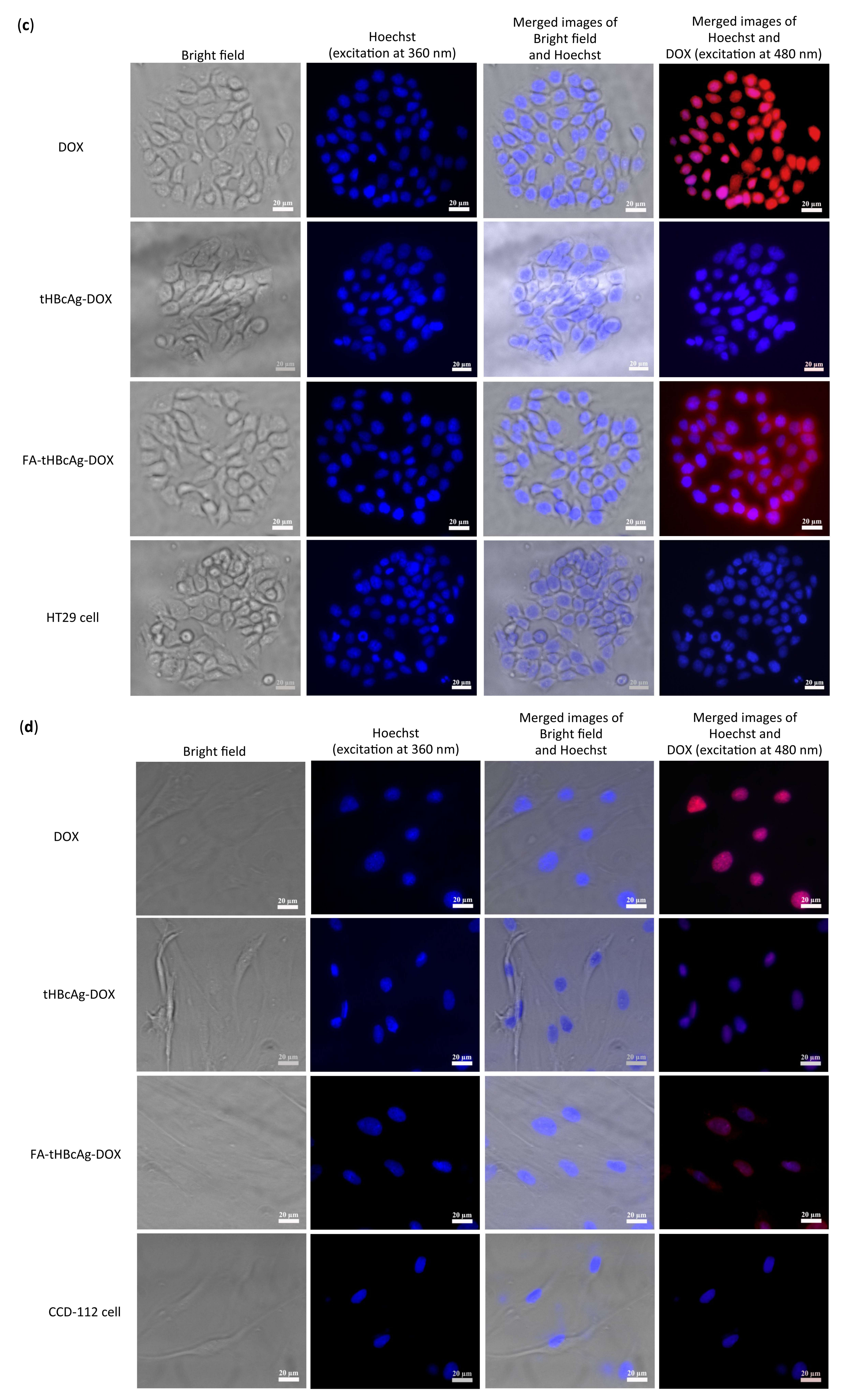 Nanomaterials 08 00236 g008b
