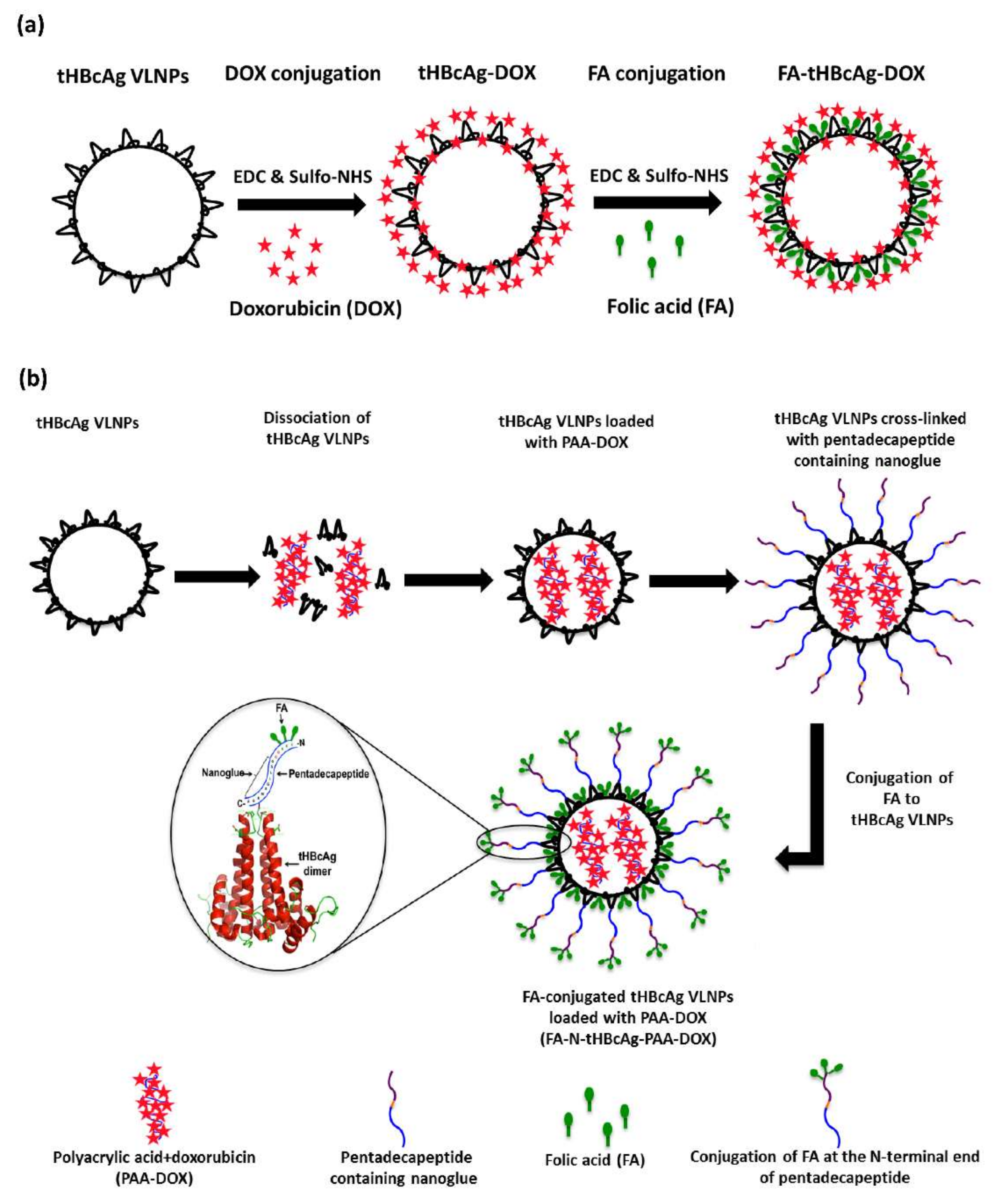 Nanomaterials 08 00236 sch001