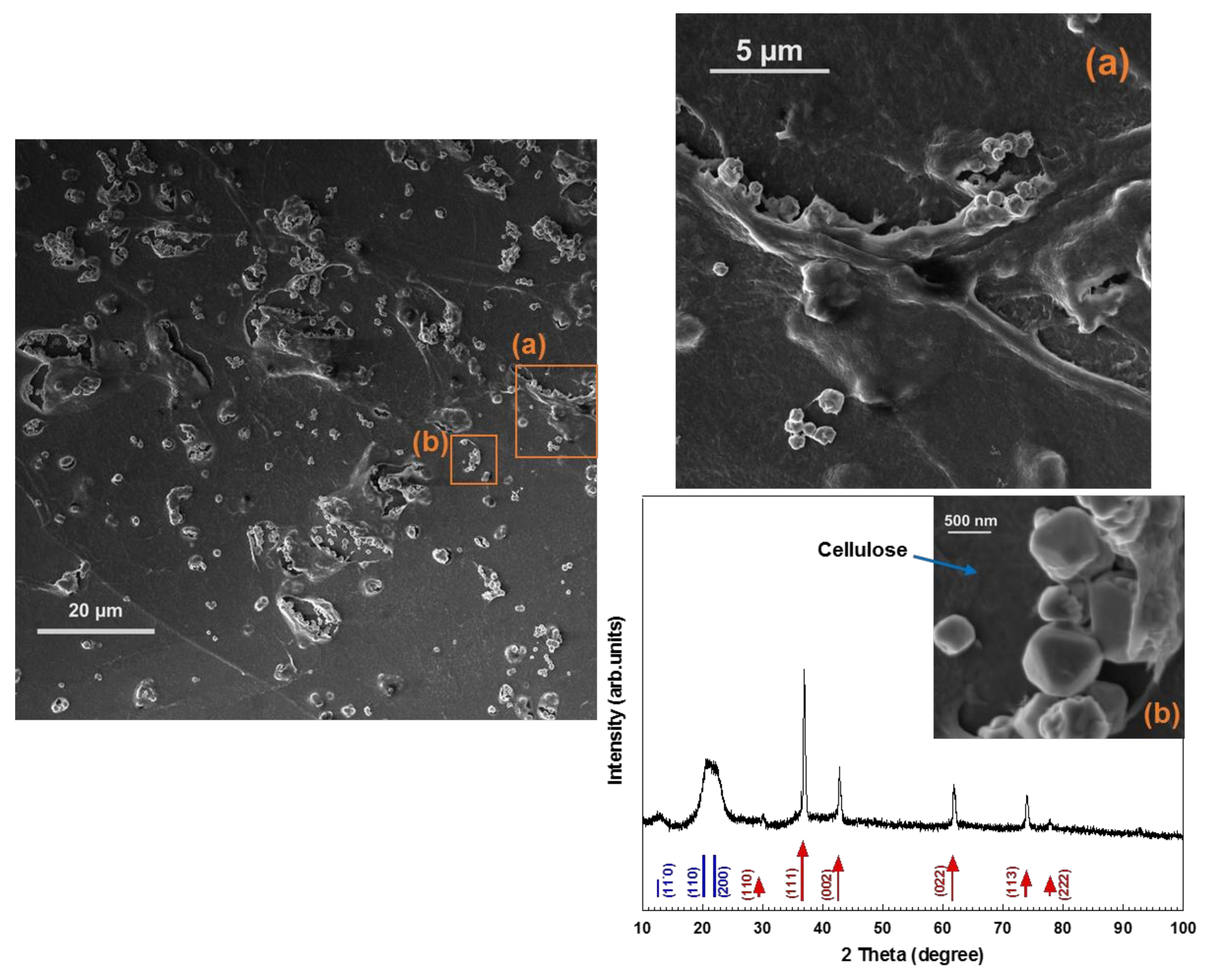 Nanomaterials 08 00238 g005 550