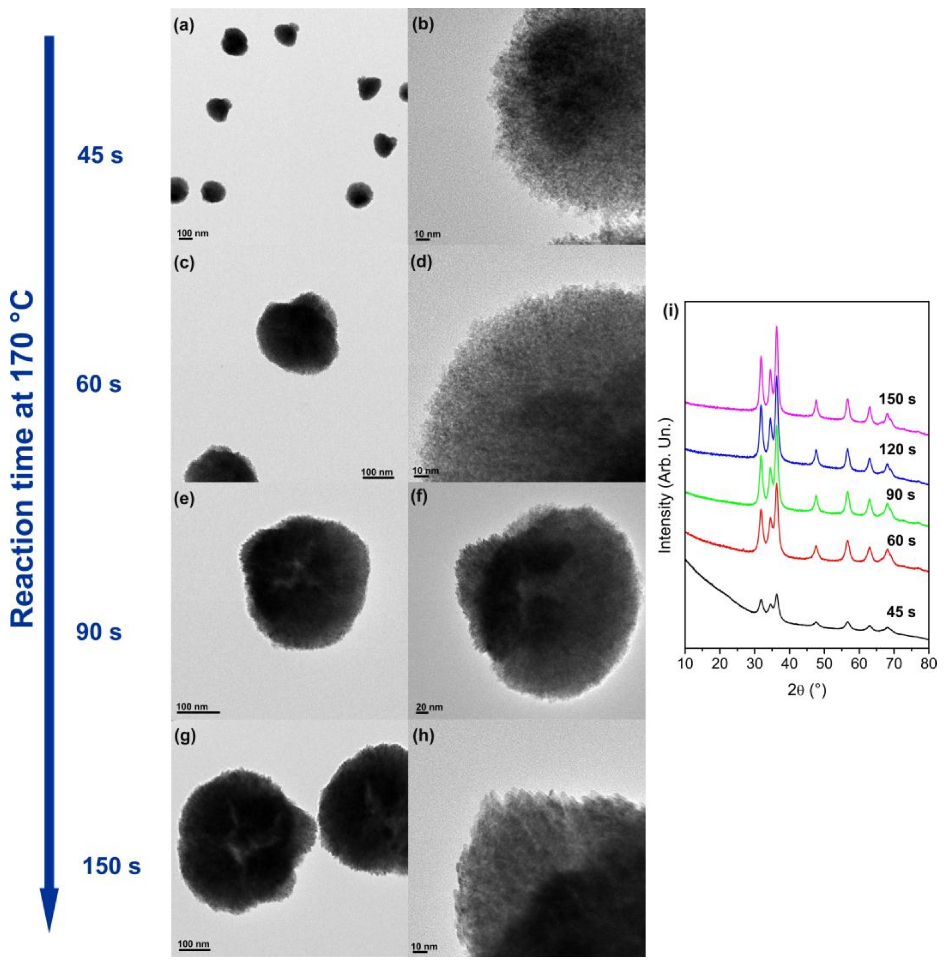 Nanomaterials 08 00249 g002 550