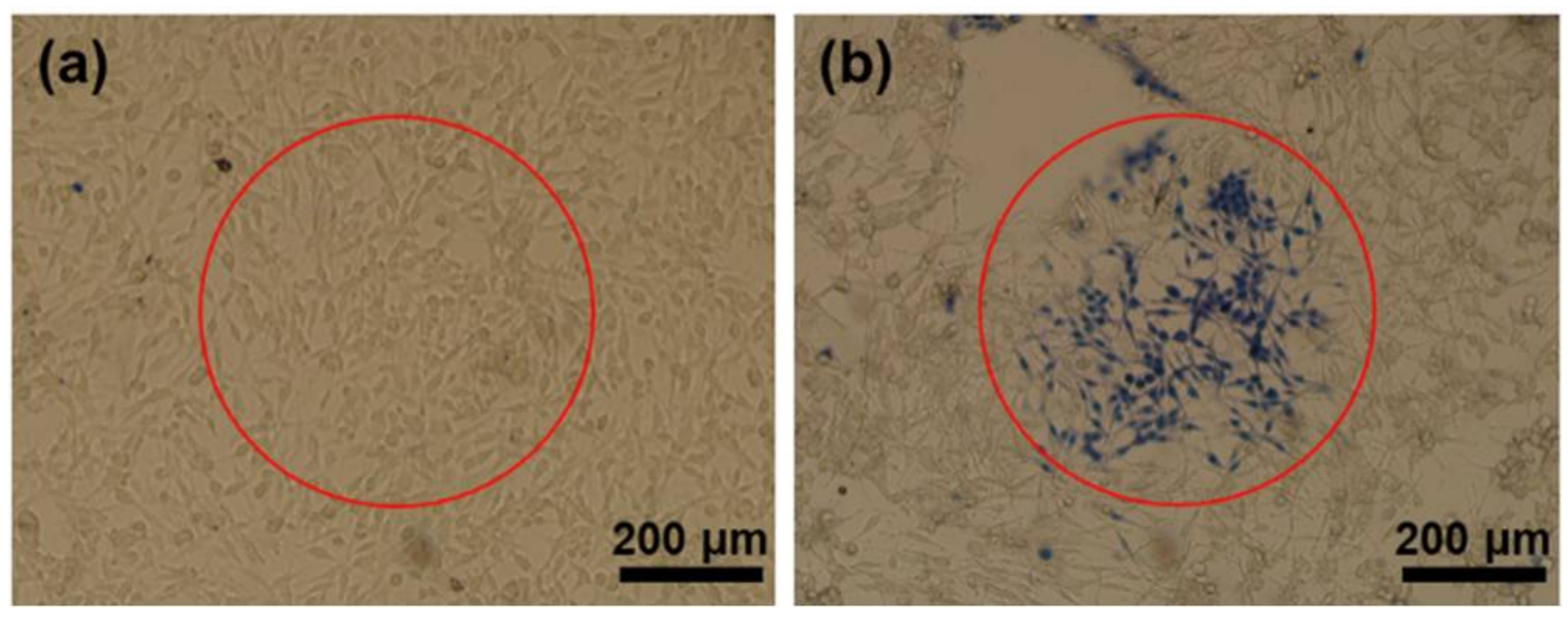 Nanomaterials 08 00252 g004